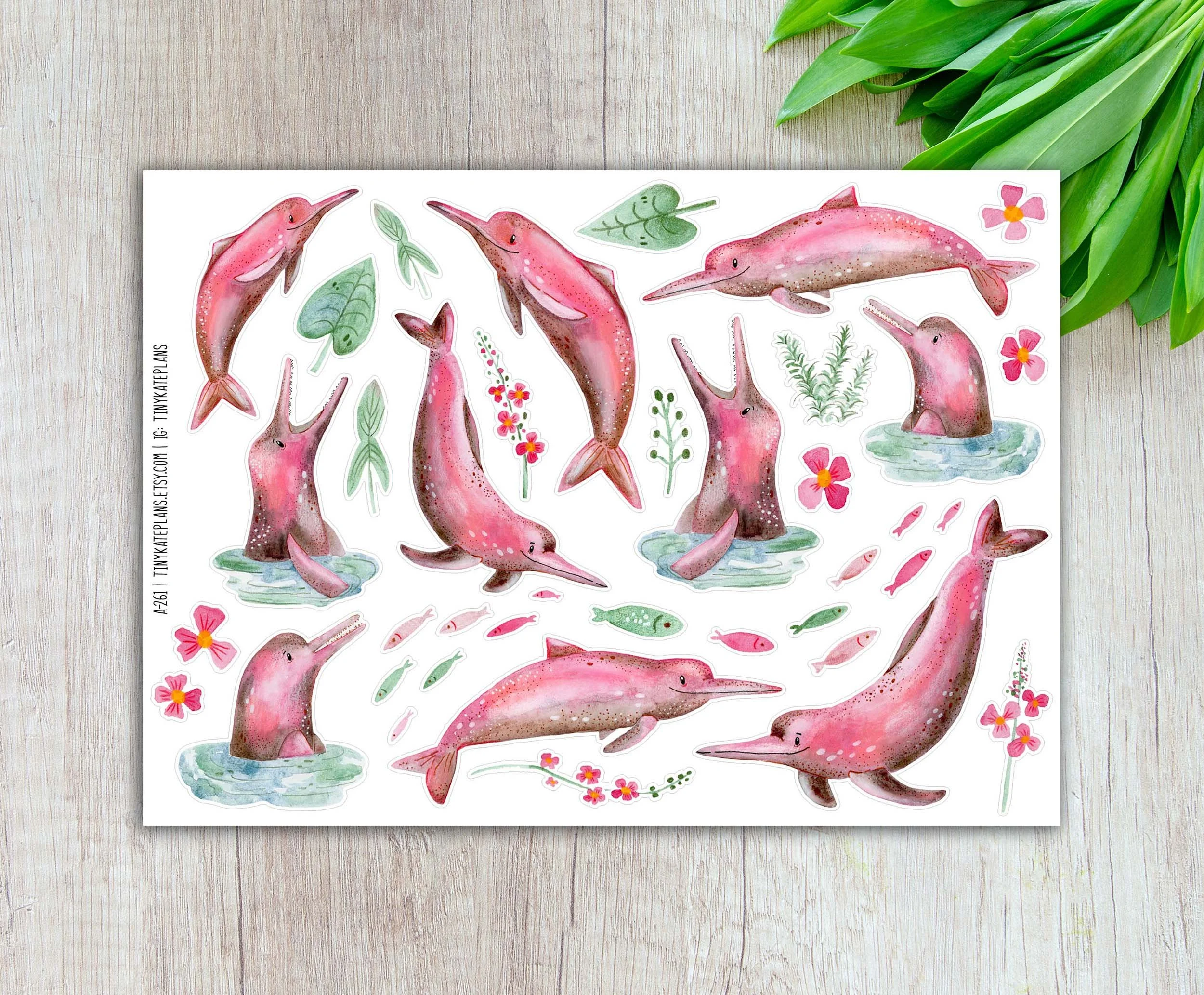 A-261 Pink dolphins 5x7 etsy.jpg