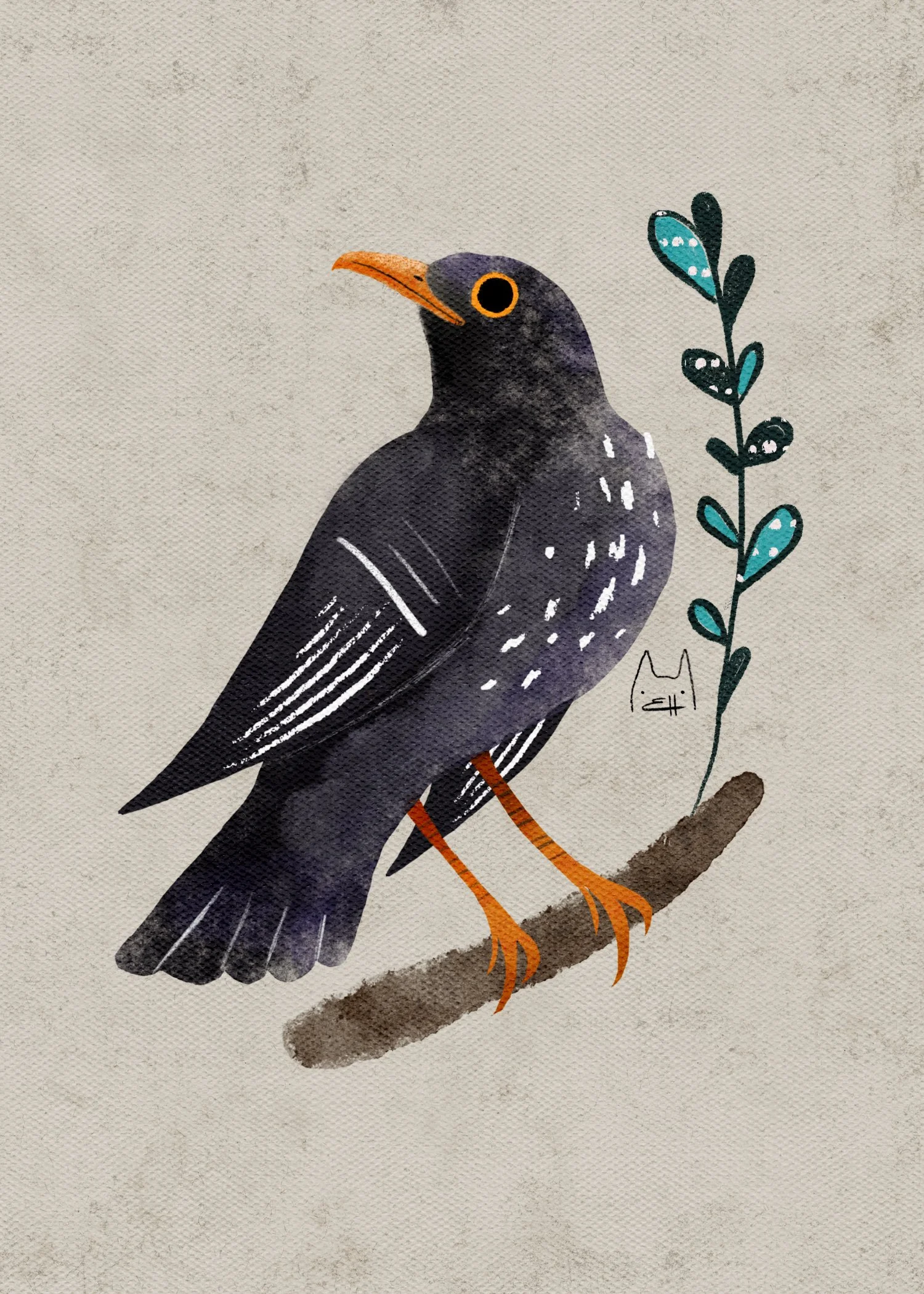 SBC-116 common blackbird 3.jpg