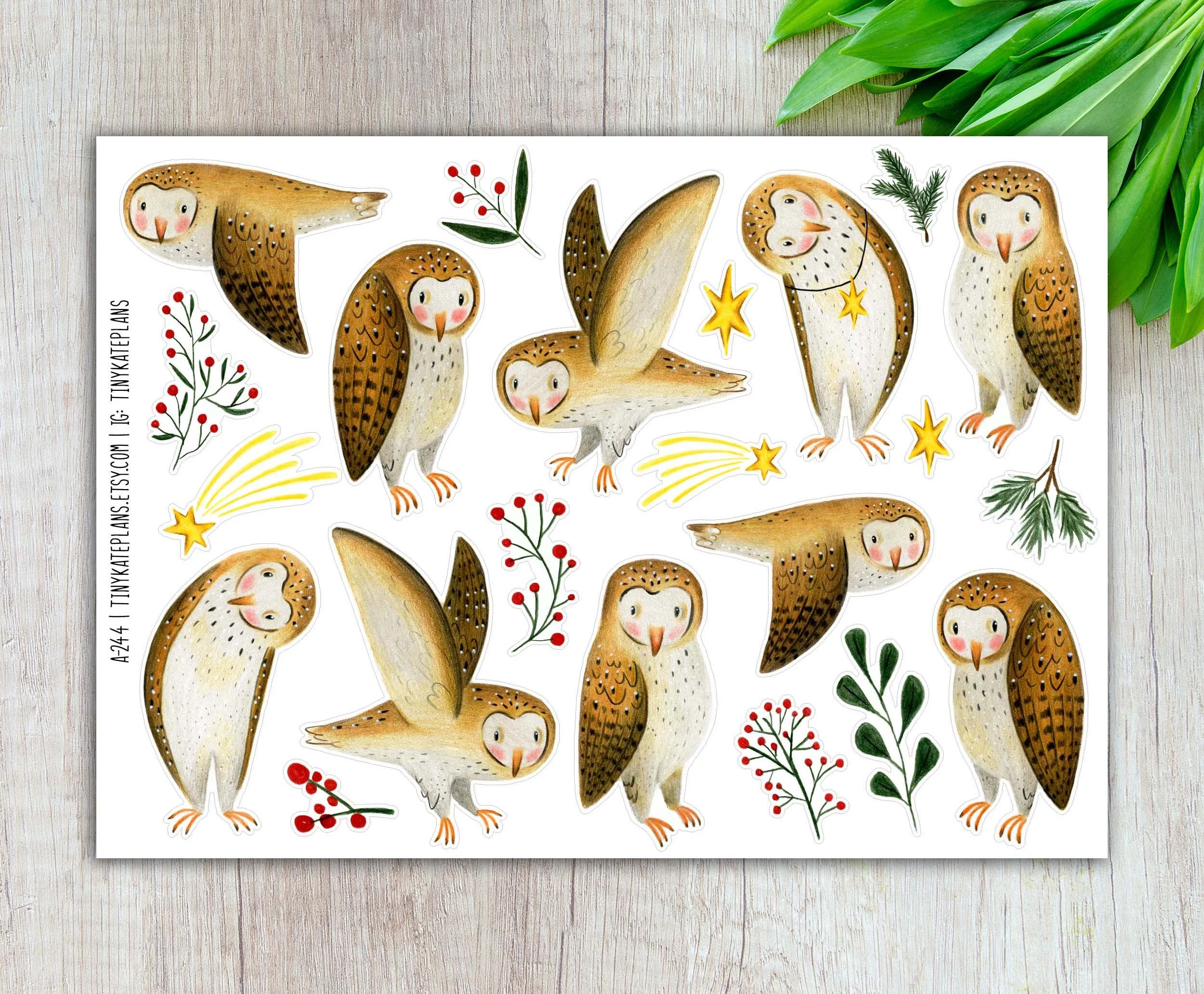 A-244 jolly and cute barn owls 5x7 etsy.jpg