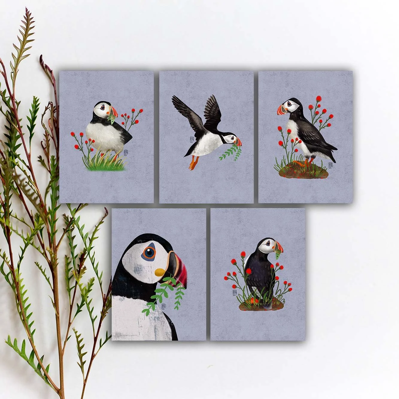 SBC-149 atlantic puffin 5x7 etsy.jpg