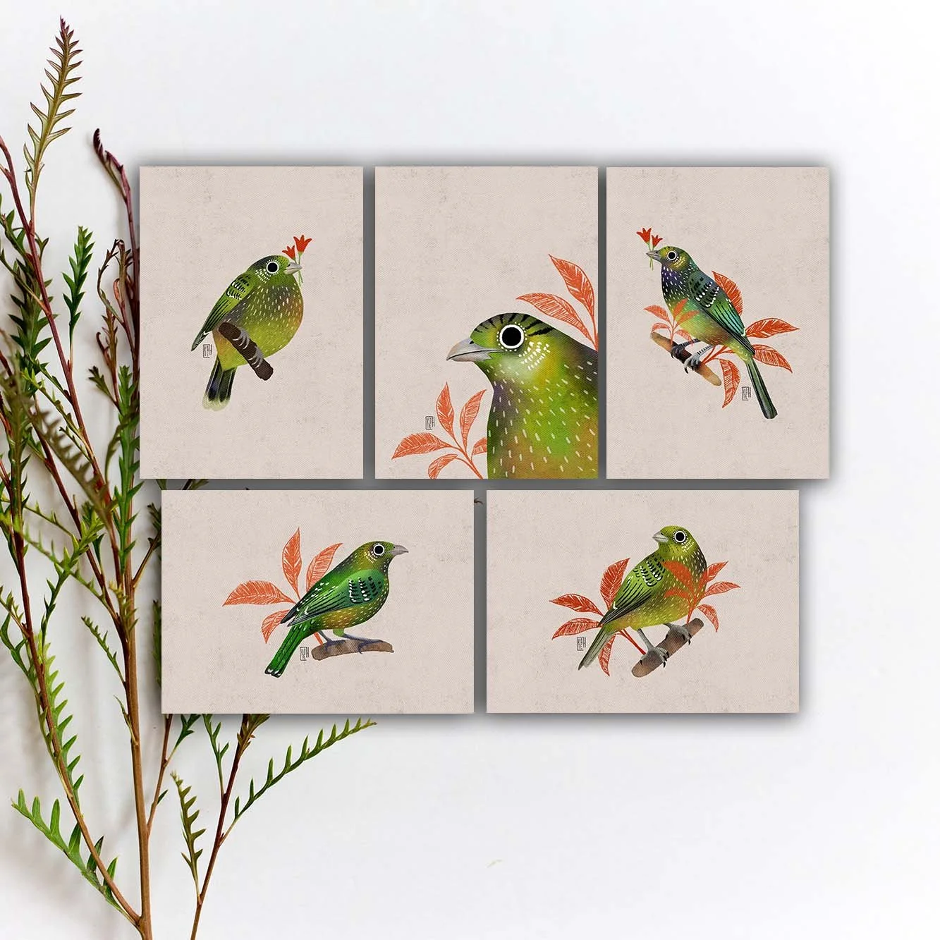 Green Catbird Postcard Set, Green Bird Art Print. SBC-151