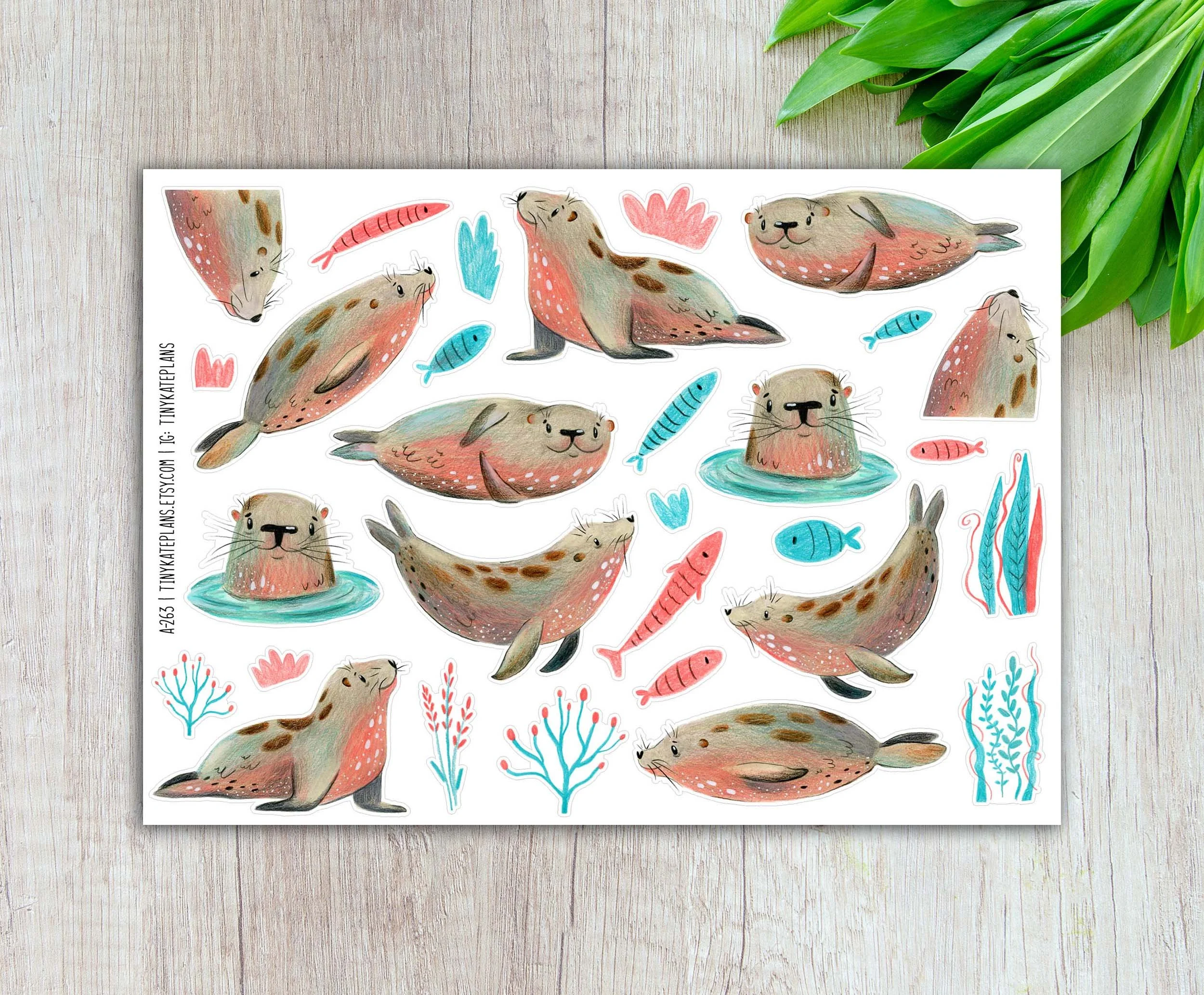 A-263 freshwater seals 5x7 etsy.jpg