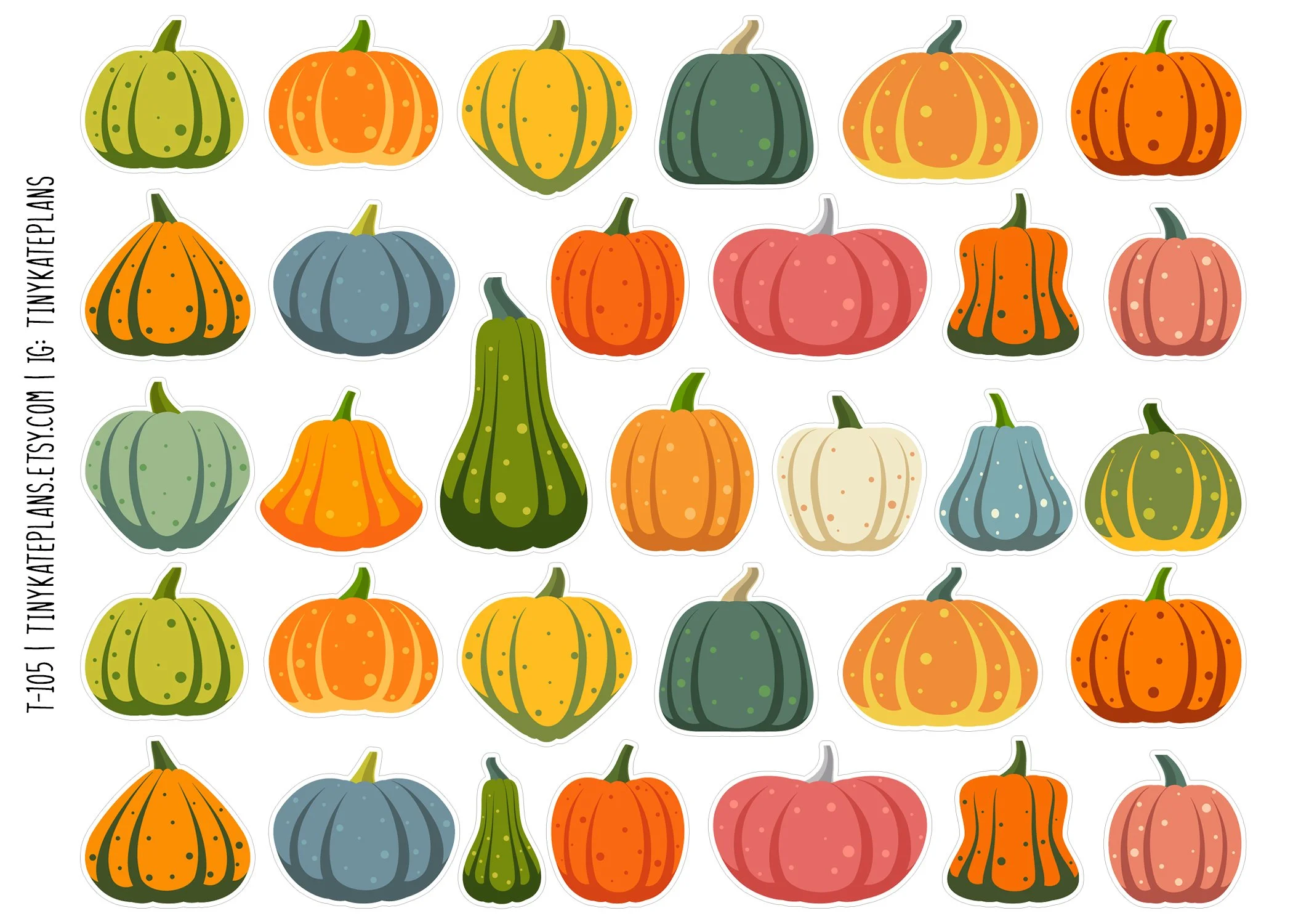 T-105 pumpkins 5x7 med.jpg