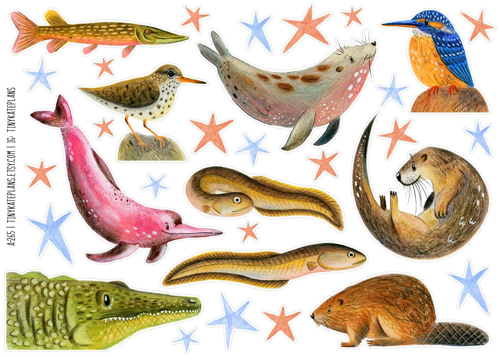 A-265 River creatures 5x7.jpg