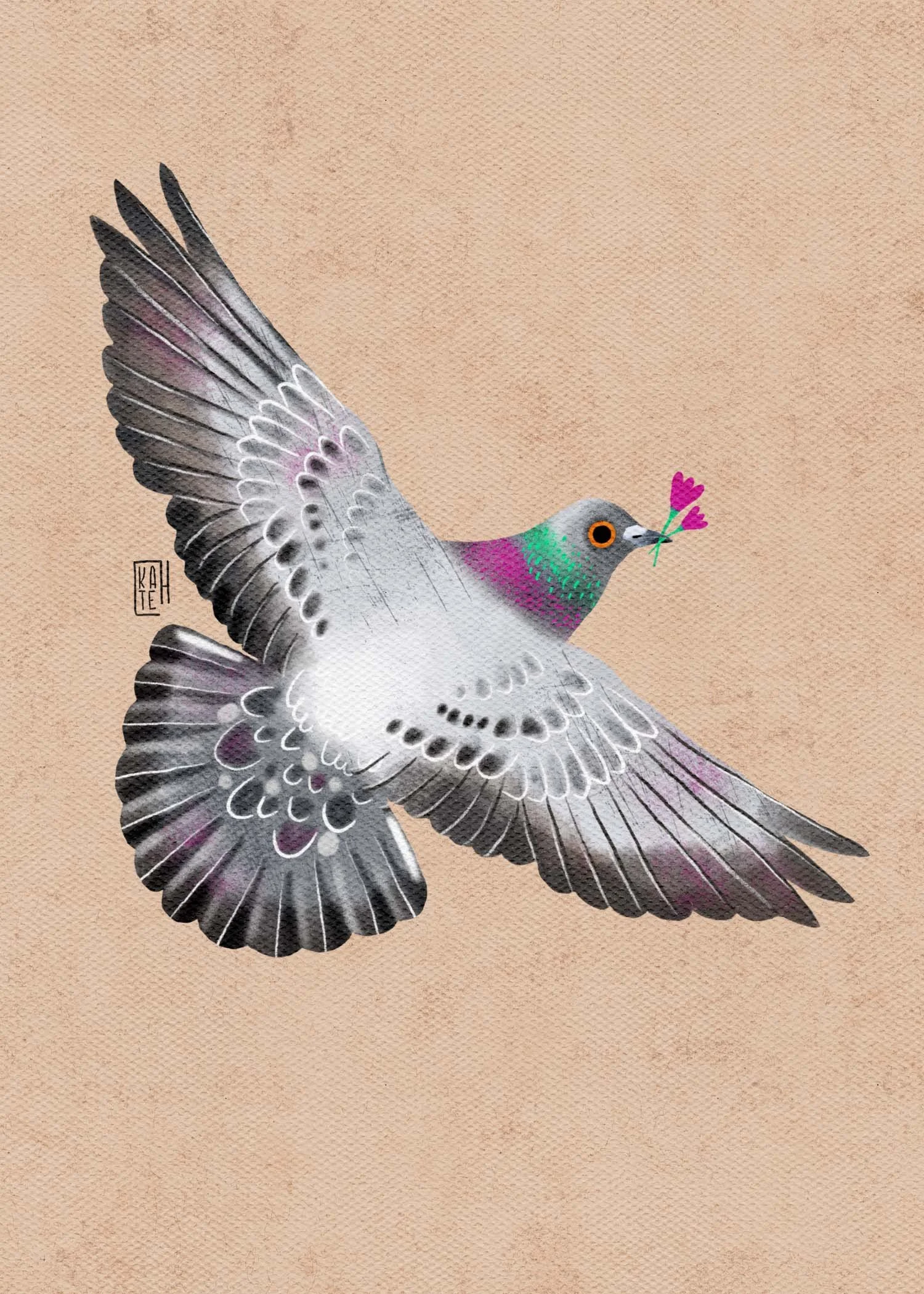 SBC-144 rock pigeons-3.jpg