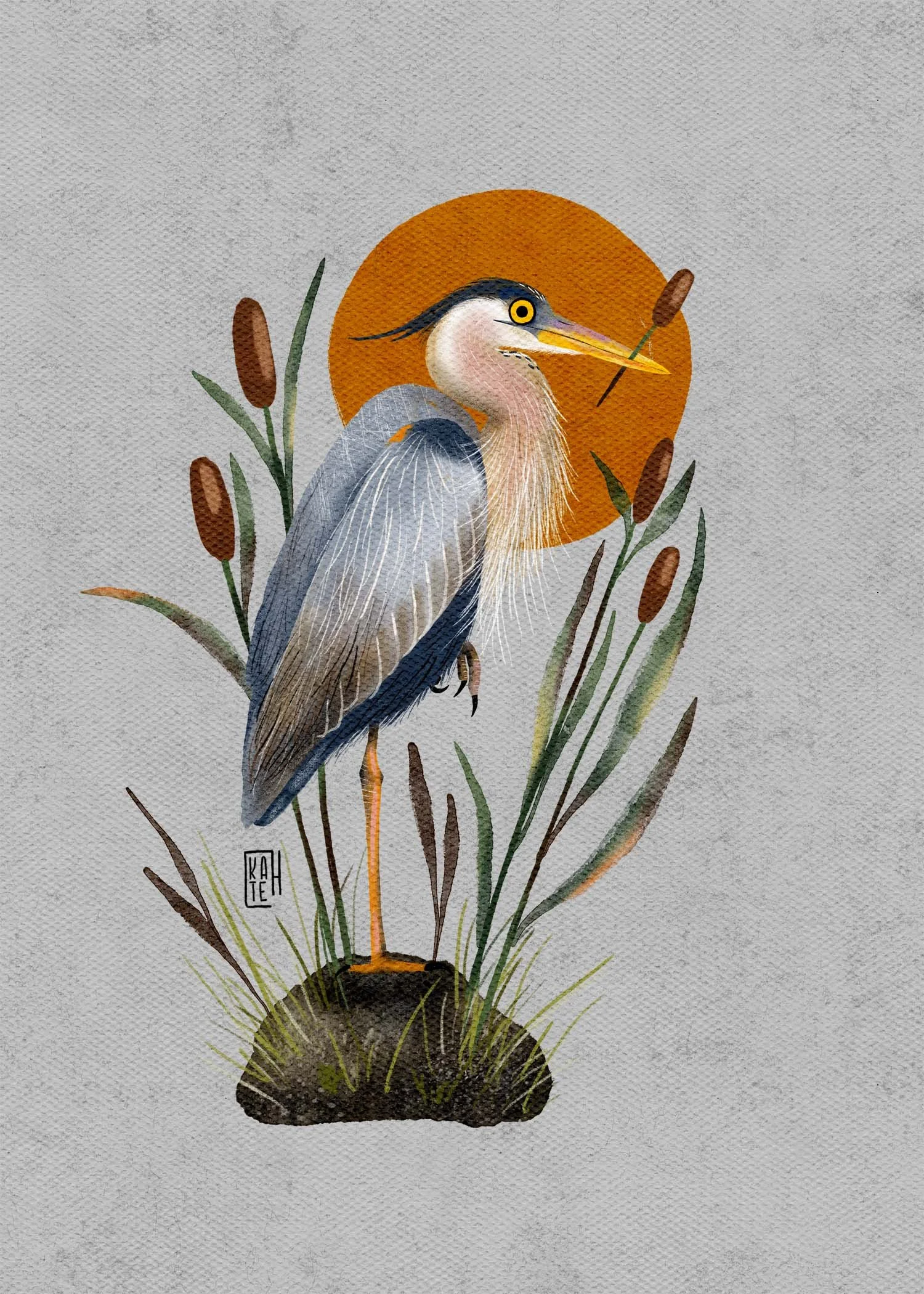 SBC-140 great blue heron-1.jpg