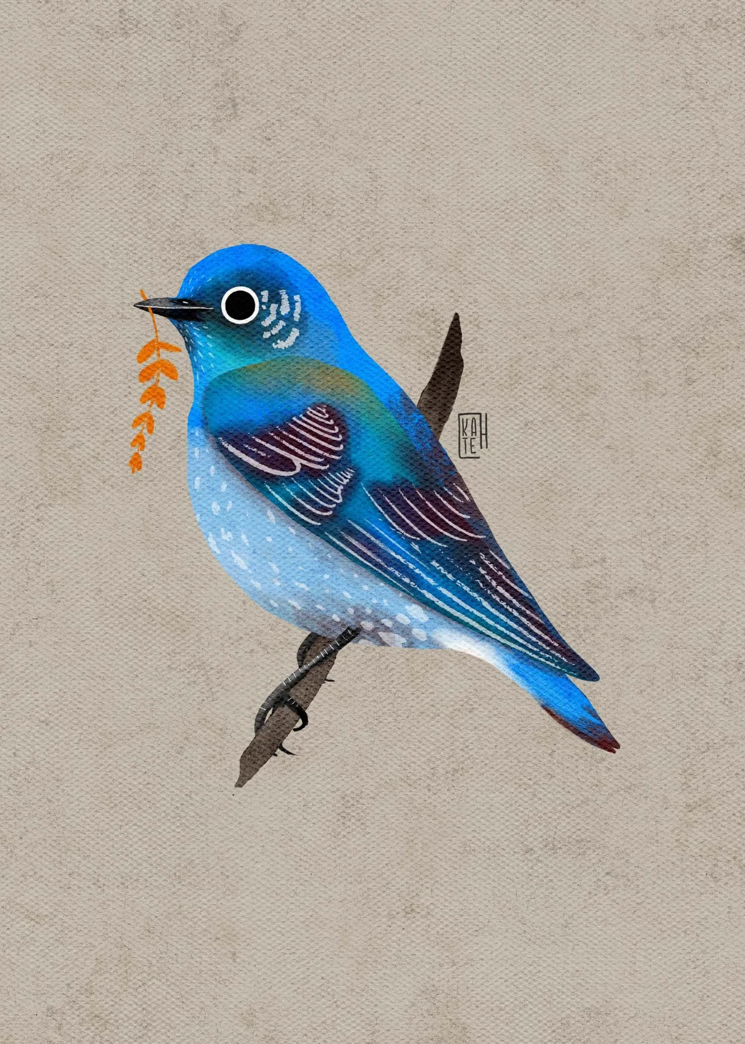 SBC-133 mountain bluebird-1.jpg