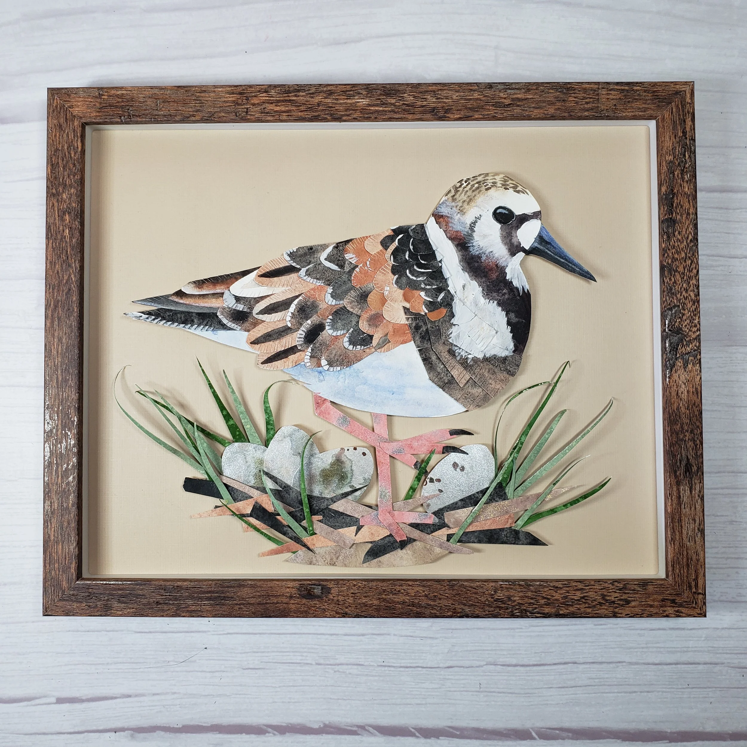 Original Framed Ruddy Turnstone bird Paper Art, Framed Shorebird Art, Brown Bird paper Collage, Framed Bird Art Wall Decor. OA-103