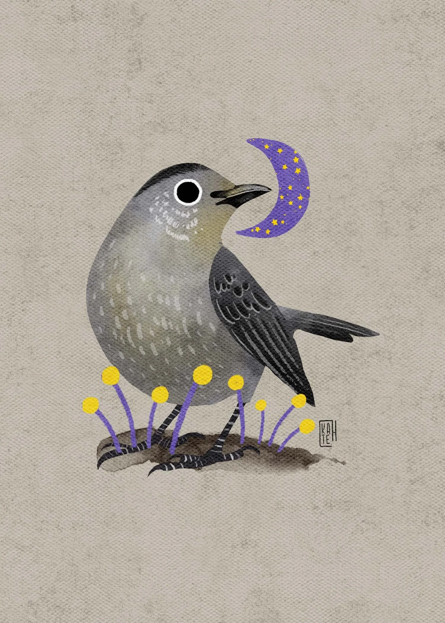 SBC-152 gray catbird-1.jpg