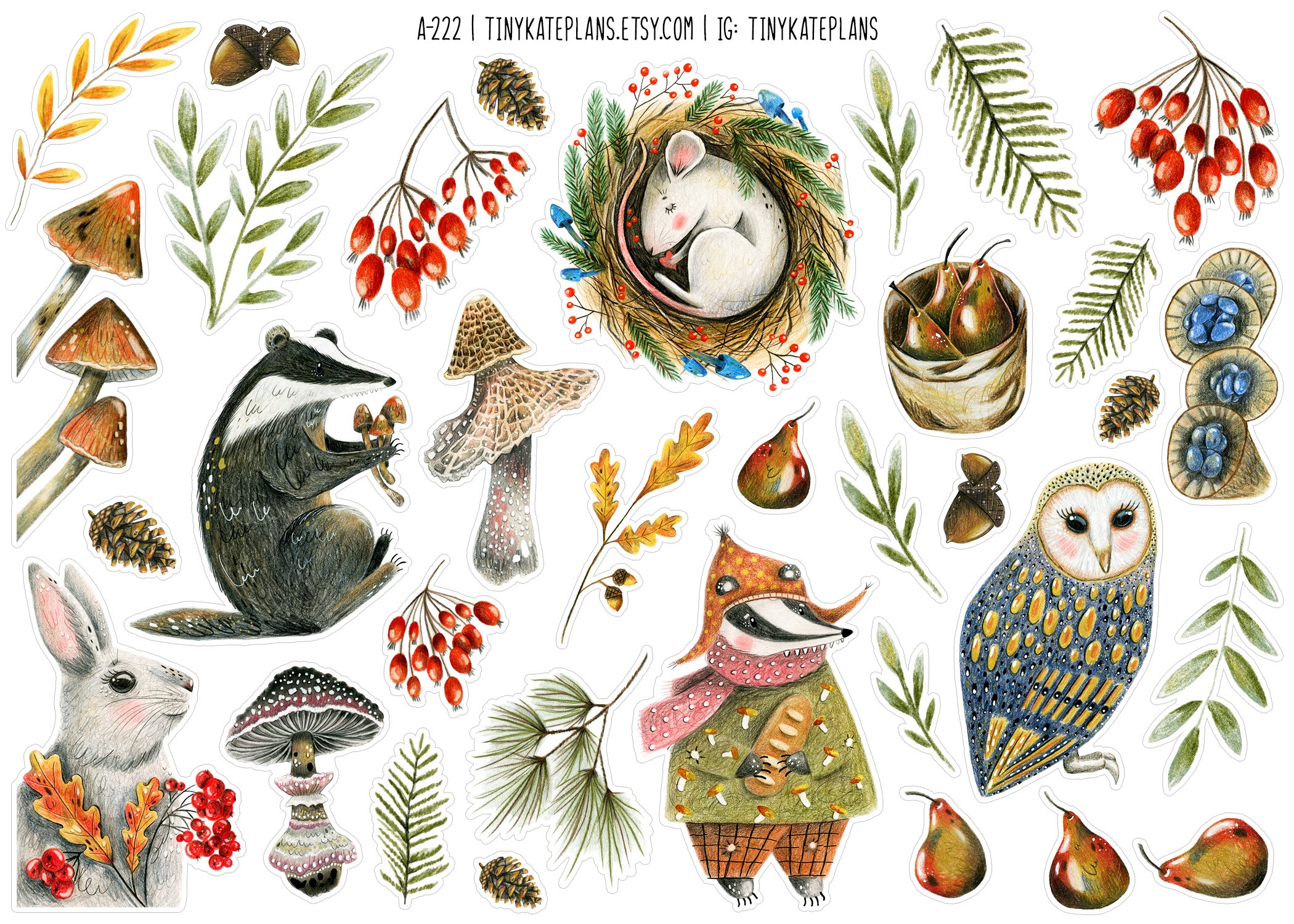 A-222 cp fall animals 5x7.jpg