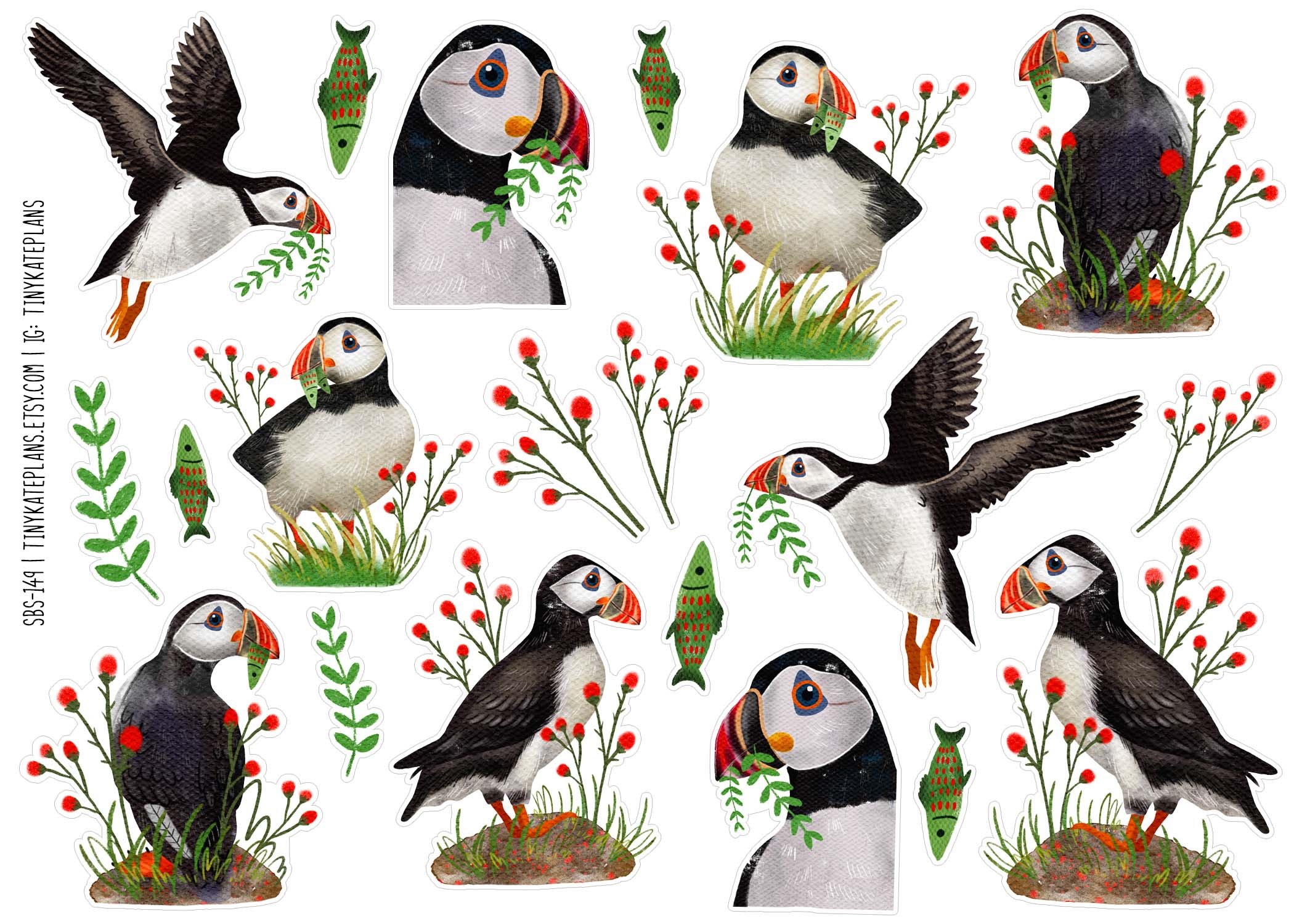 SBS-149 Atlantic puffin 5x7.jpg