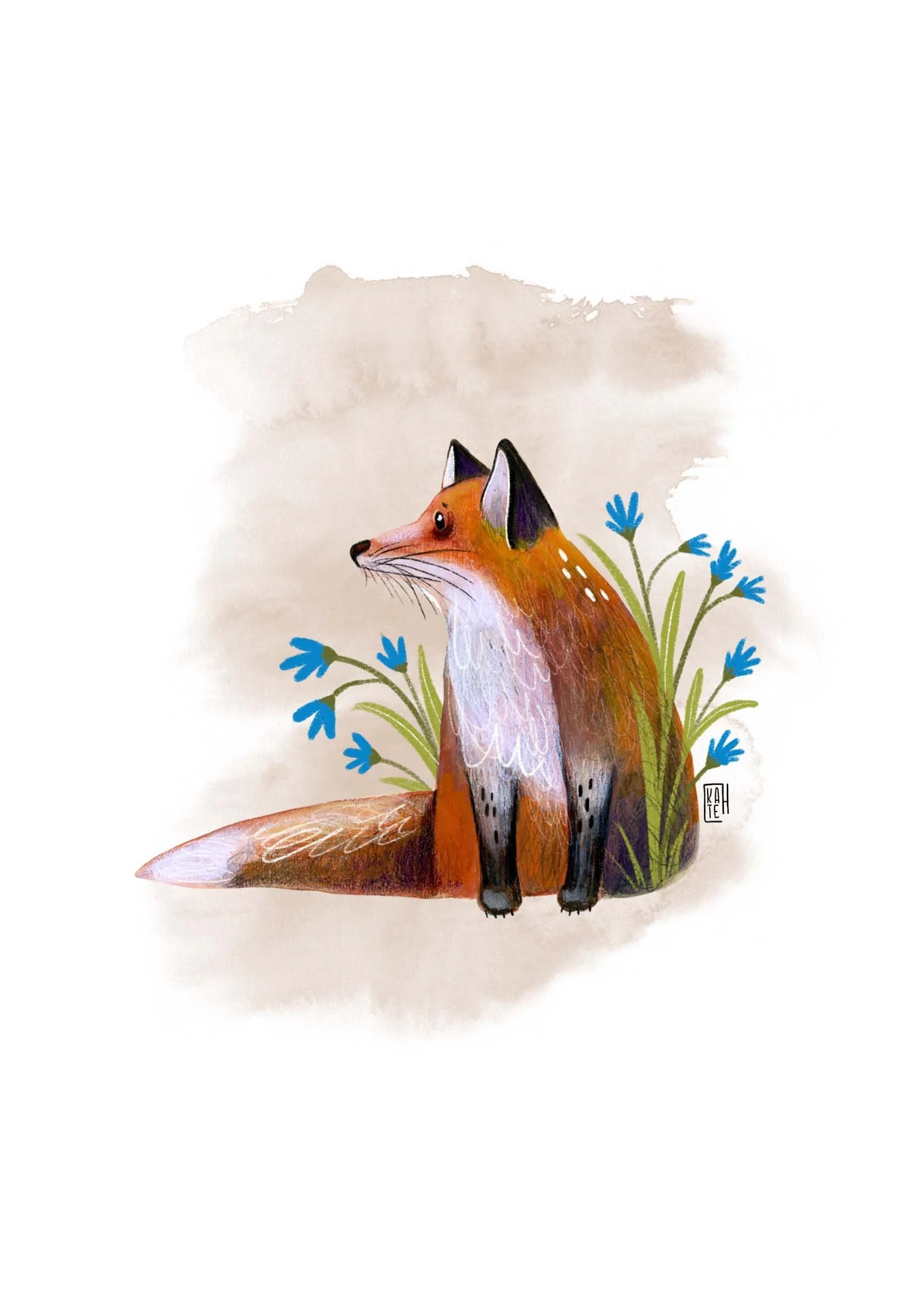 AC-247 fall foxes 4.jpg