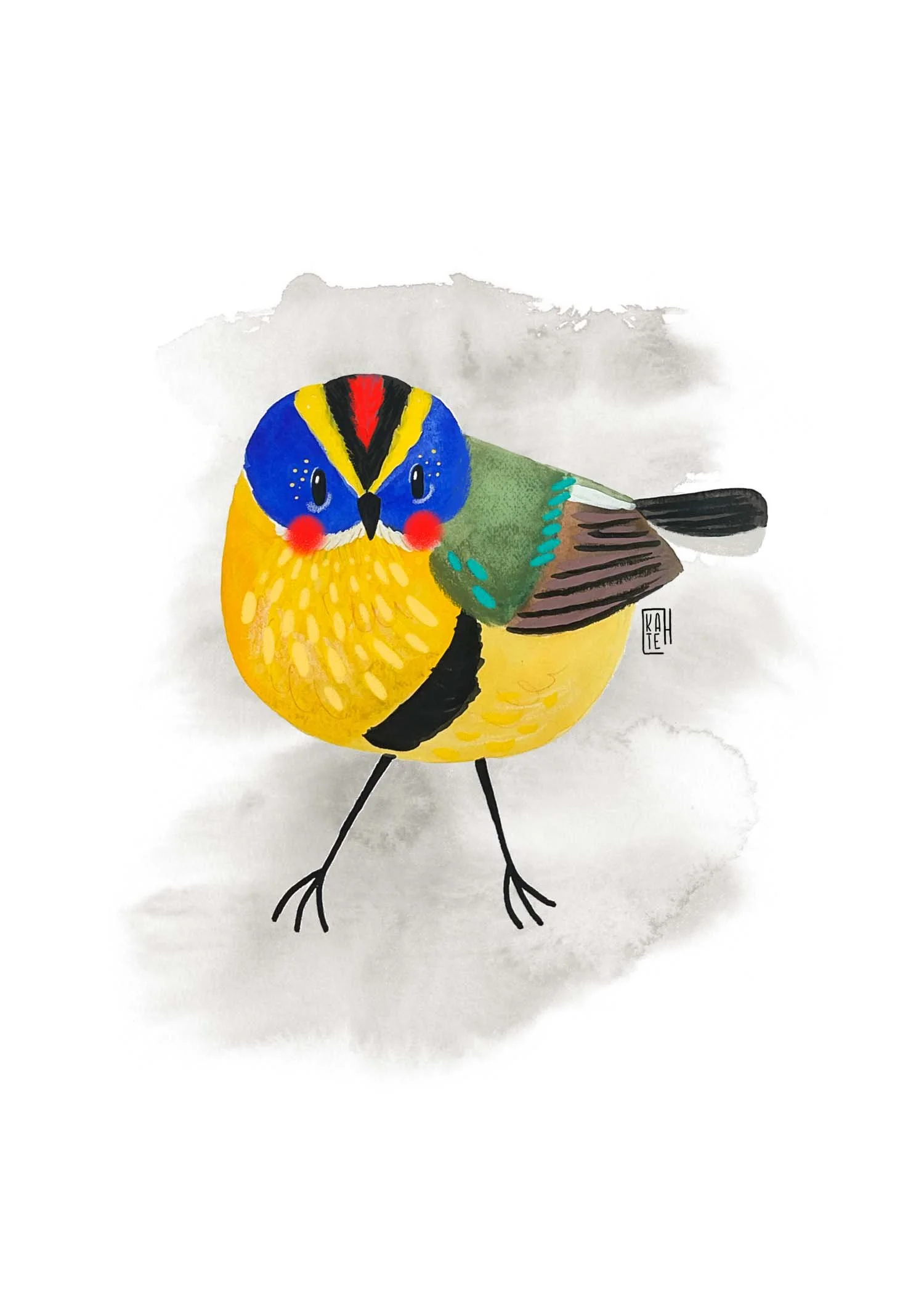 AC-228 many-colored rush tyrant-5.jpg