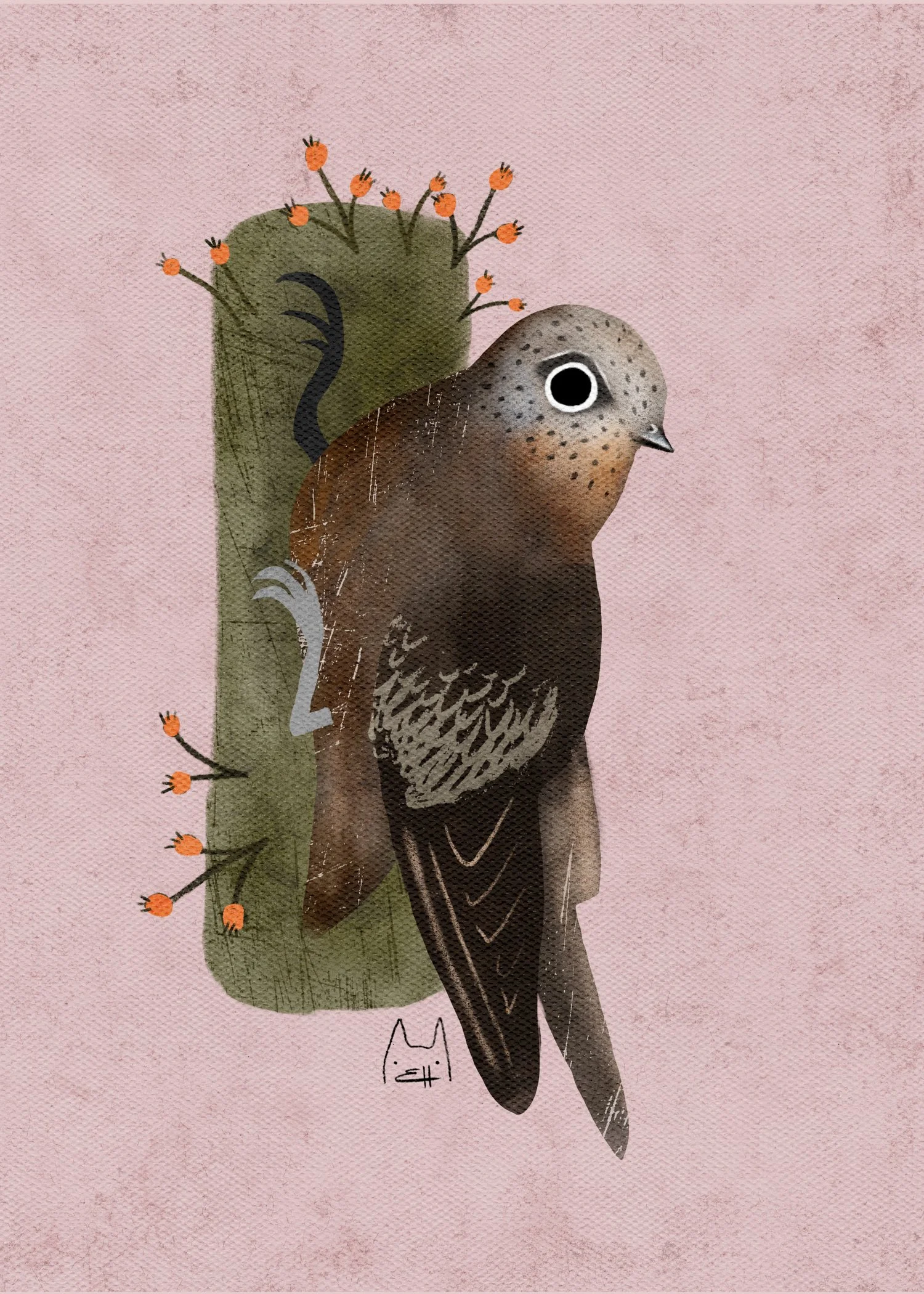 SBC-115 chimney swift 1.jpg