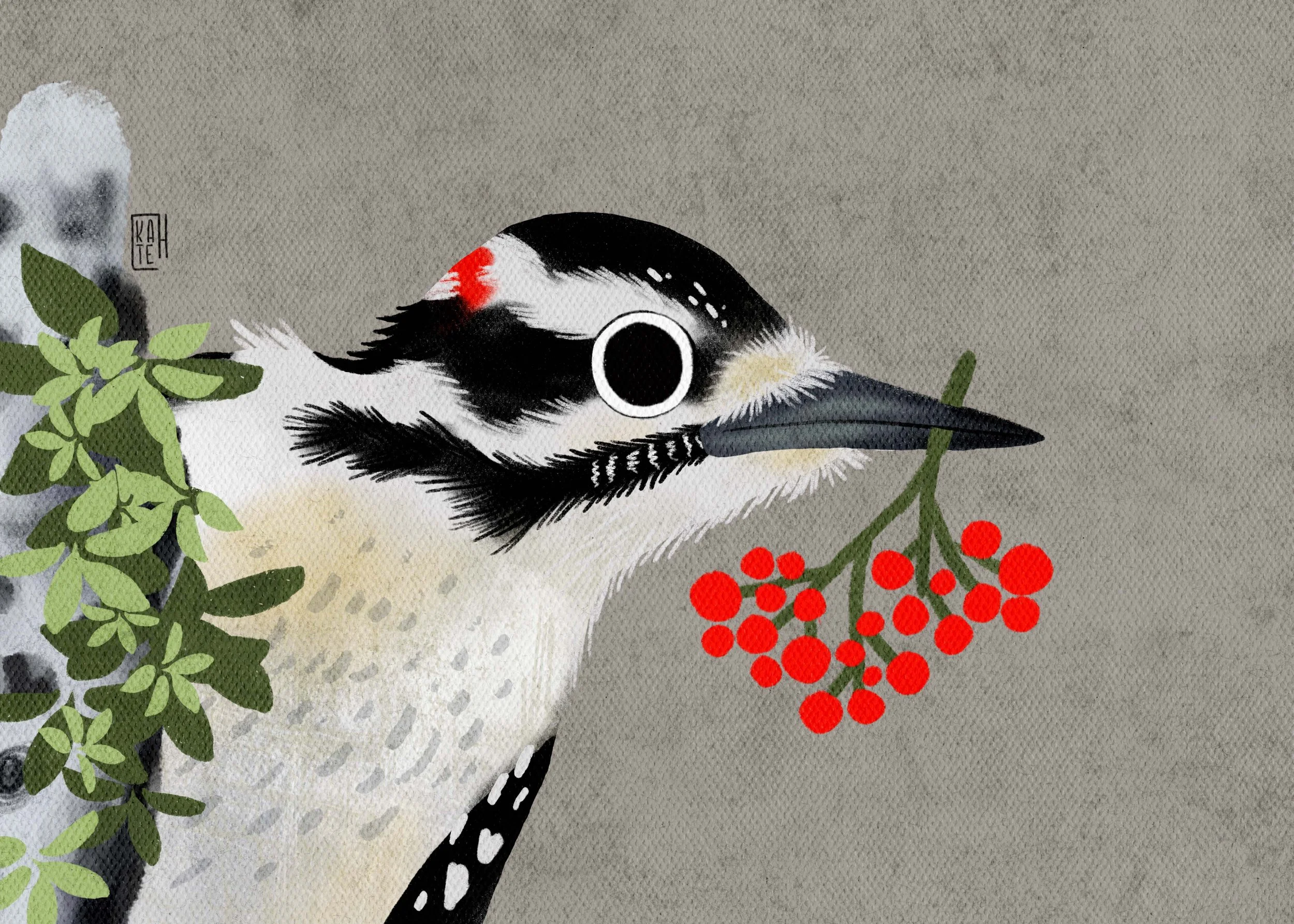 SBC-148 Downy Woodpecker-2.jpg