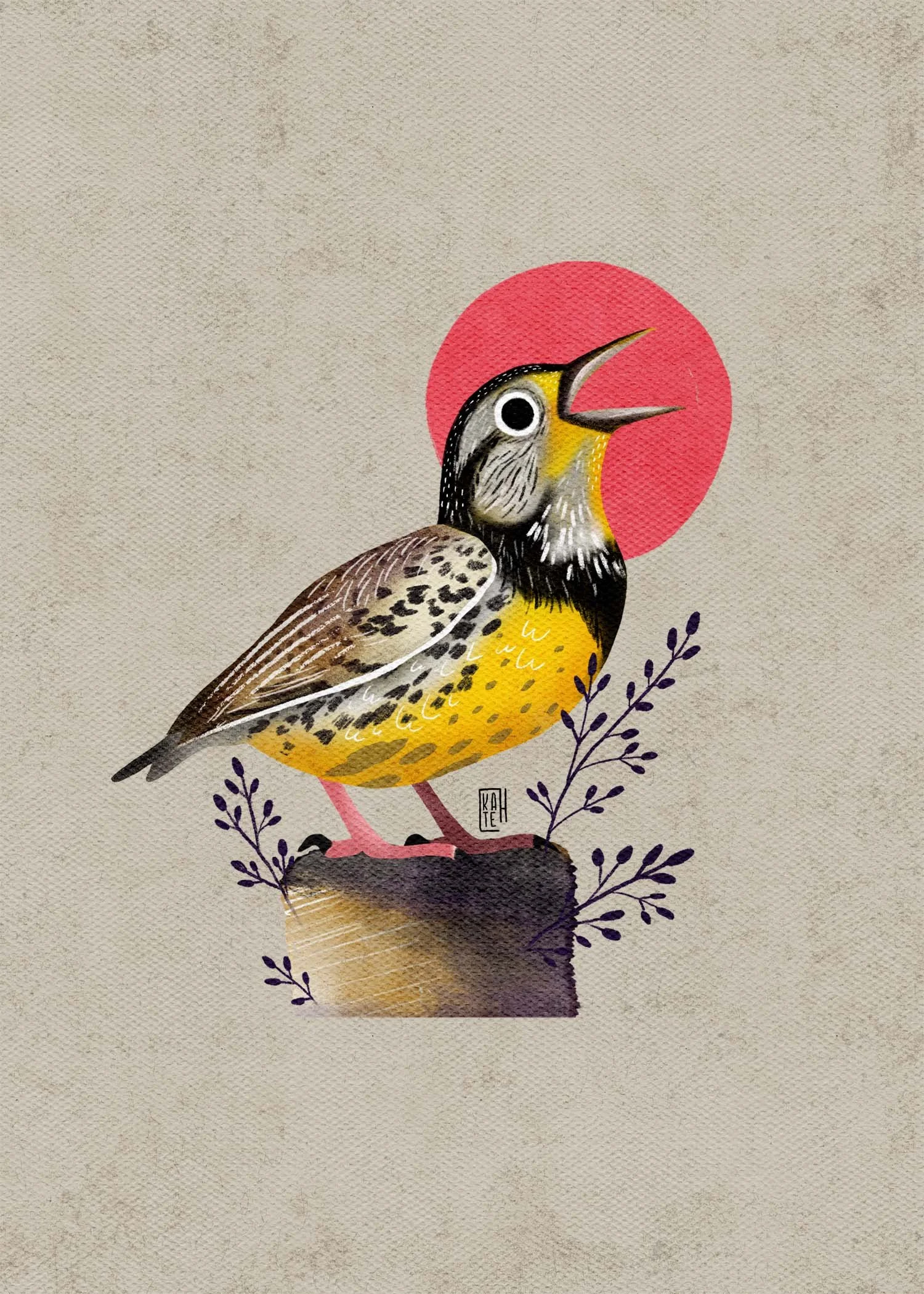 SBC-147 Eastern Meadowlark-3.jpg