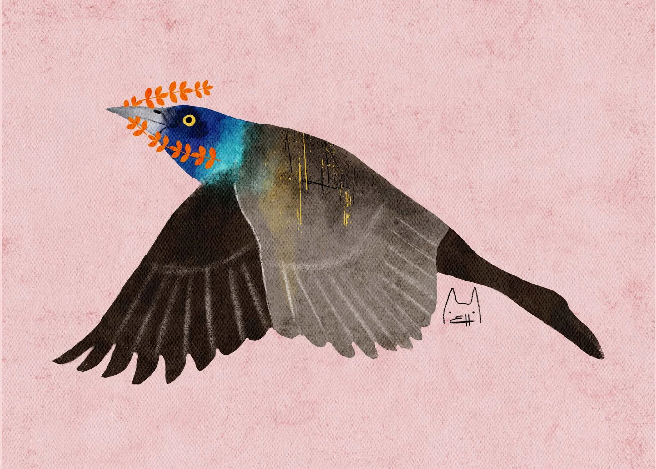 SBC-109 common grackle 4.jpg