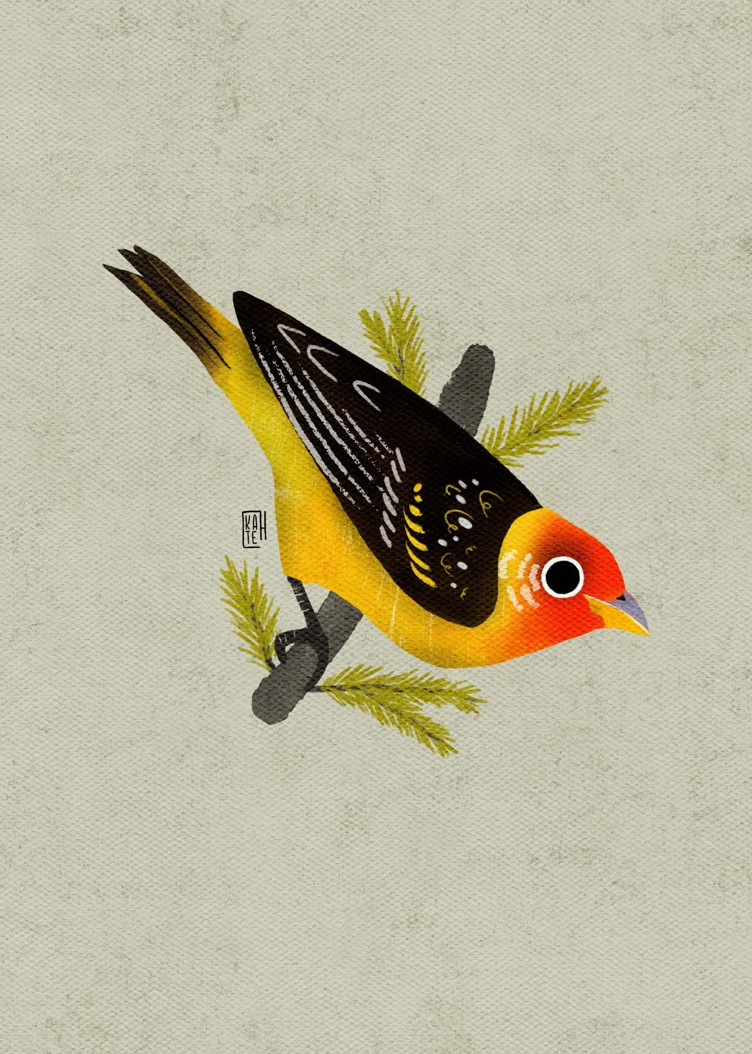 SBC-146 western tanager-2.jpg