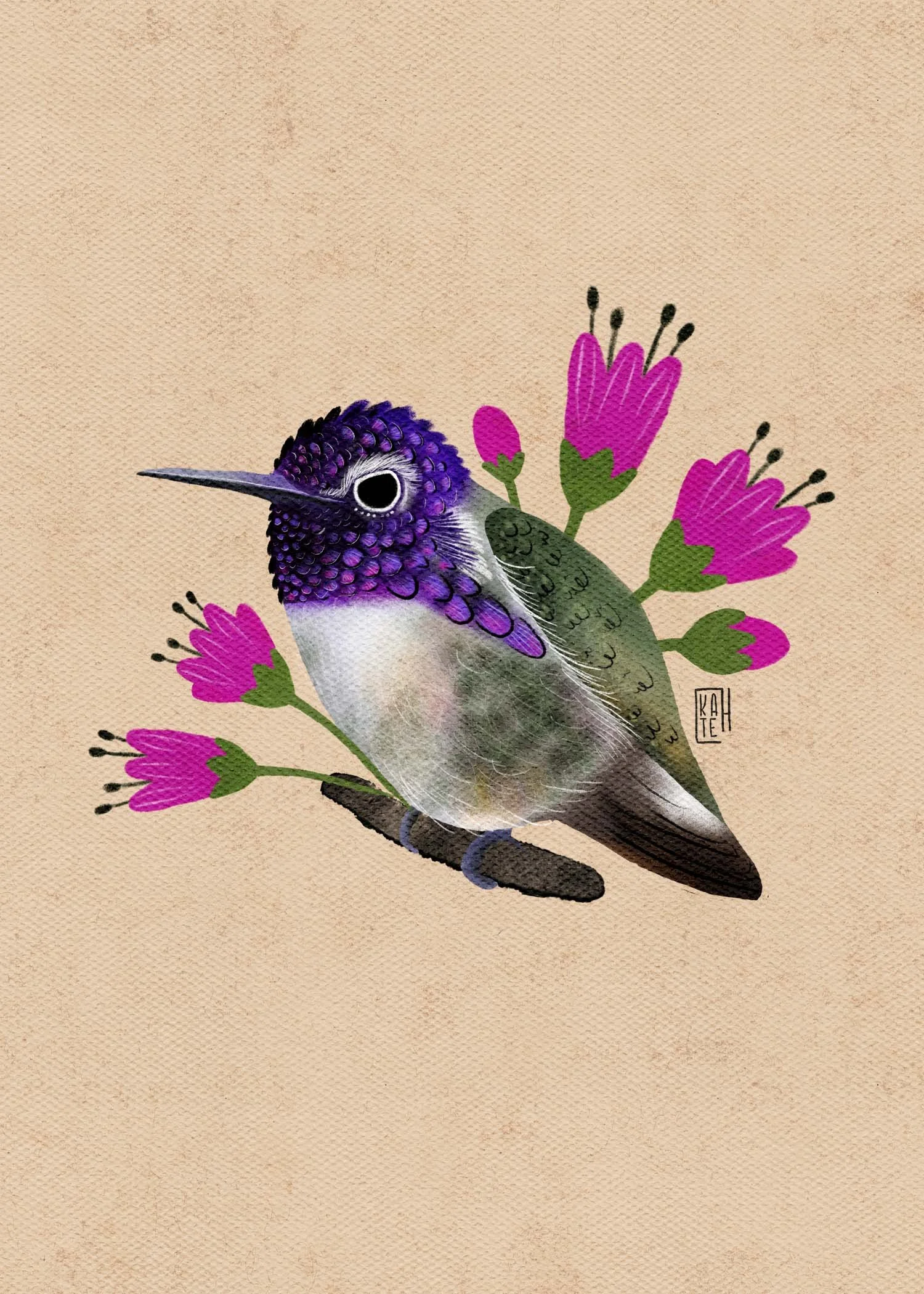 SBC-145 costas hummers-2.jpg