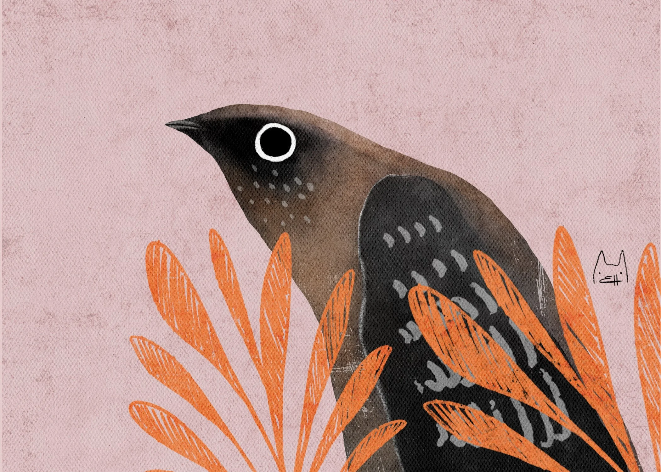 SBC-115 chimney swift 5.jpg