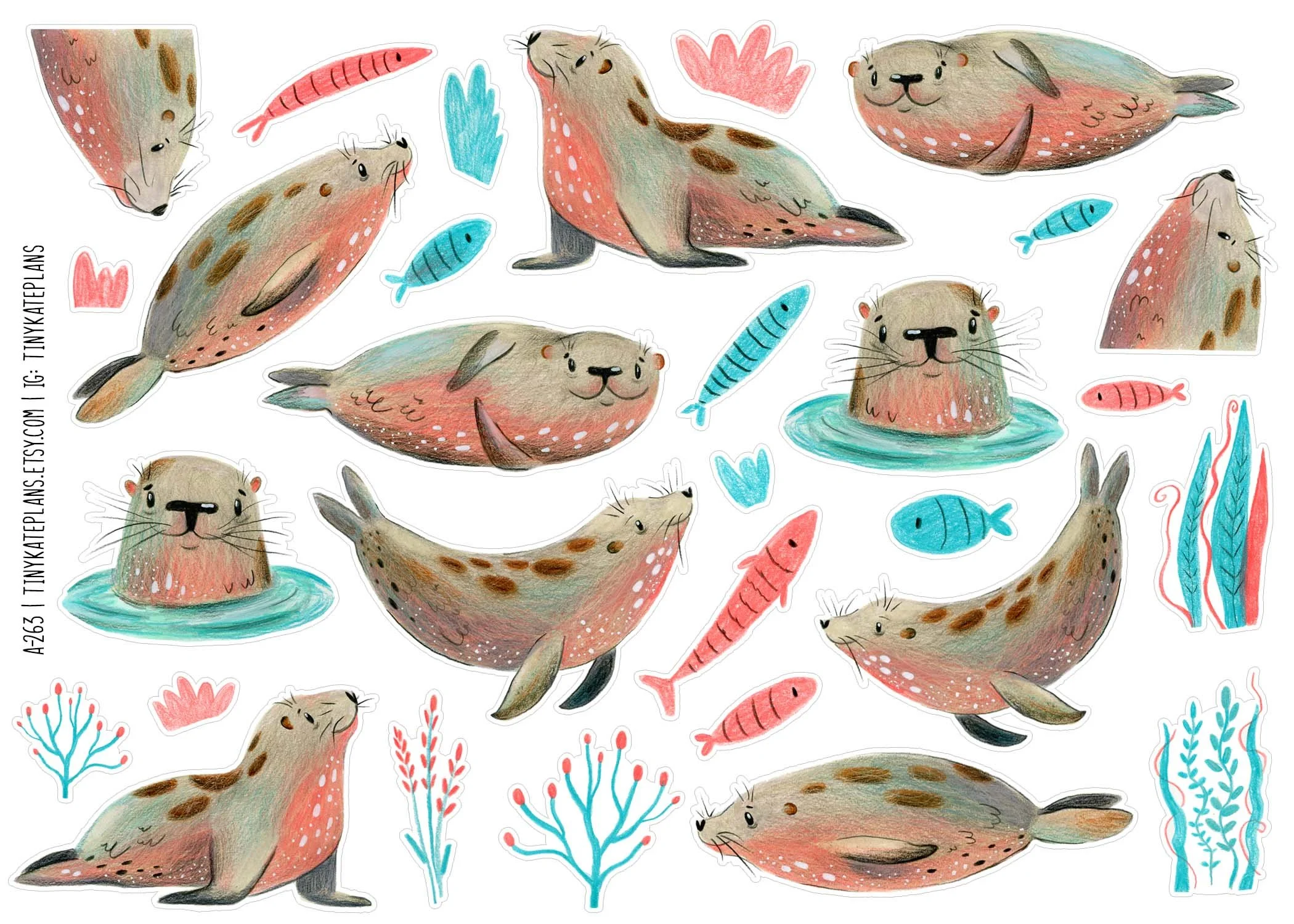 A-263 freshwater seals 5x7.jpg