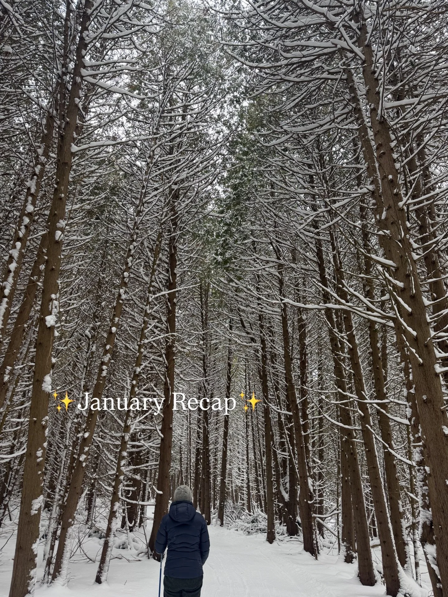 January! We made it through :)

I struggle to take pictures in the winter every year so this is the best I&rsquo;ve got!