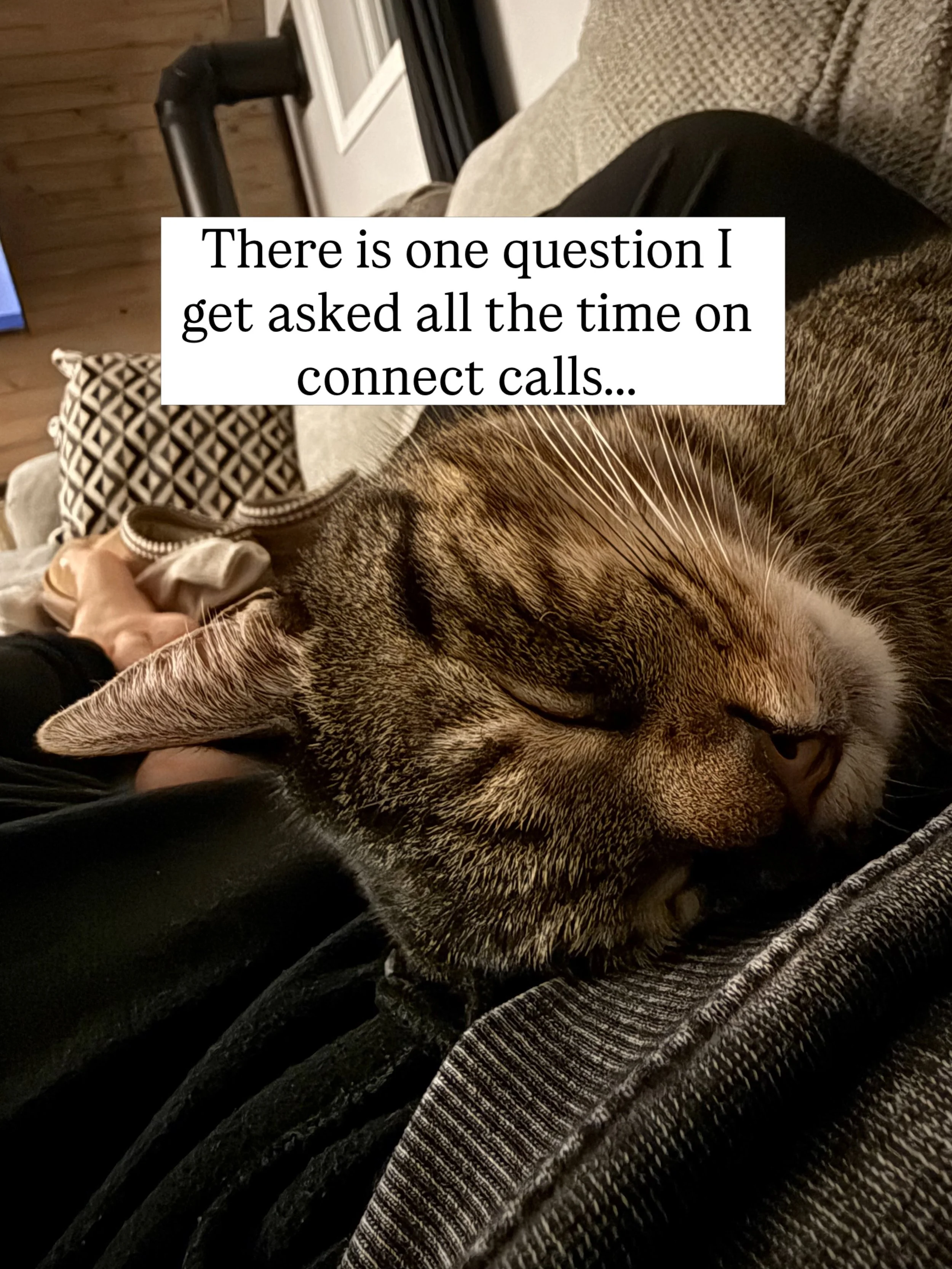 A question I get asked ALL THE TIME on connect calls 

⬇️⬇️ 

&ldquo;Are you ok with pets? We have a dog/cat/multiple pets?&rdquo;

Absolutely yes! 

I do appreciate folks asking me this question though because I will be spending lots of time in thei