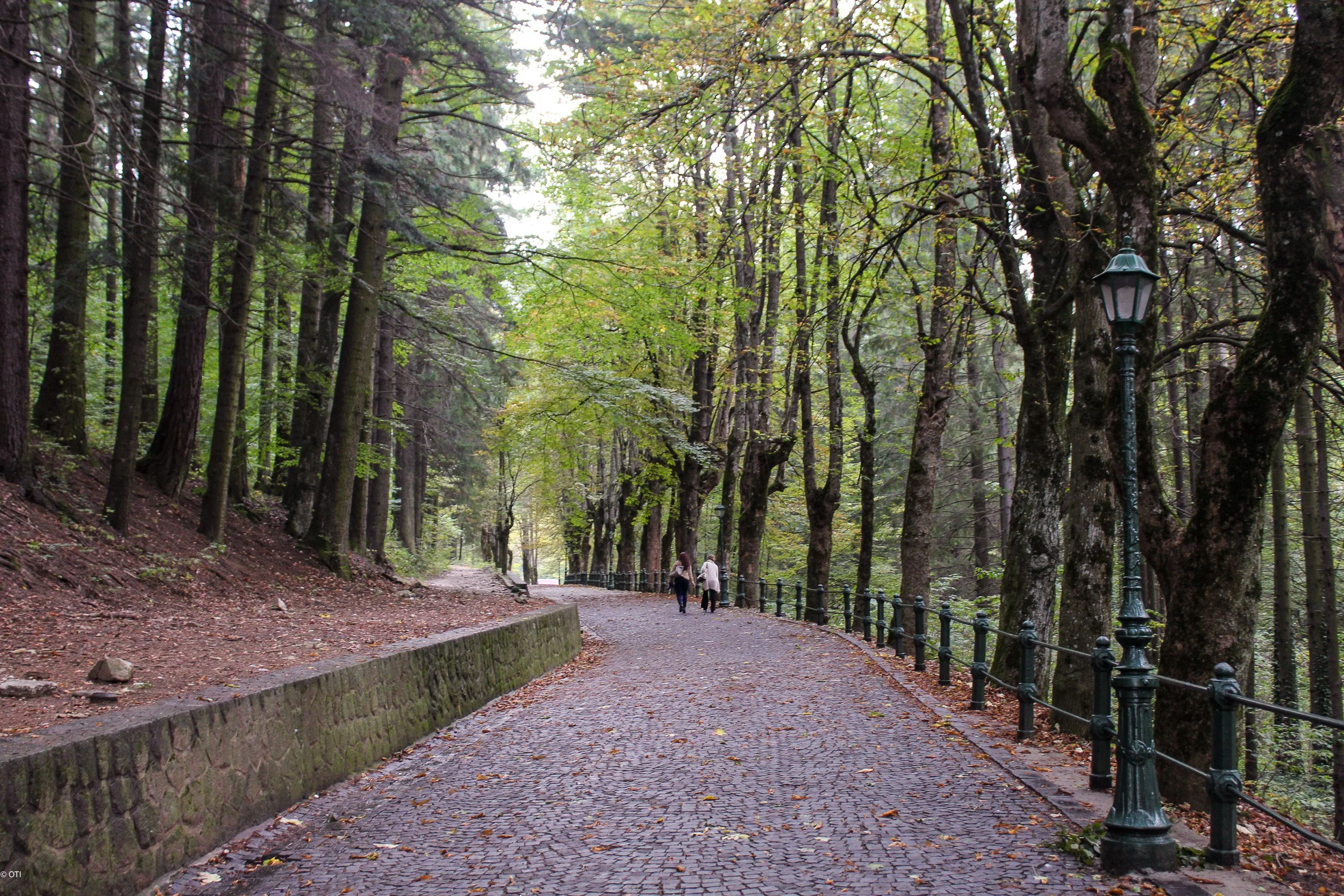 Aleea Peleșului in Sinaia, Romania