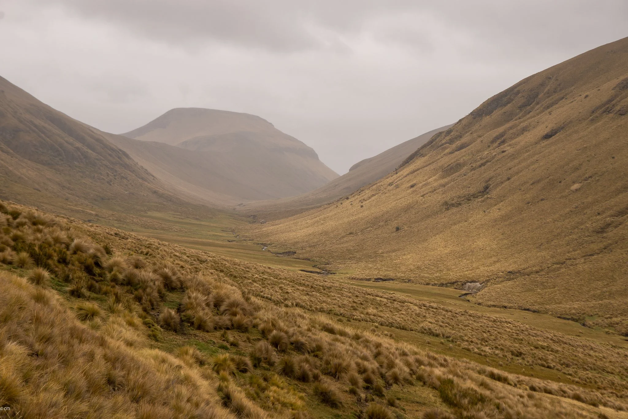 The Inca Trail (Qhapaq Ñan) in Chimborazo, Ecuador.