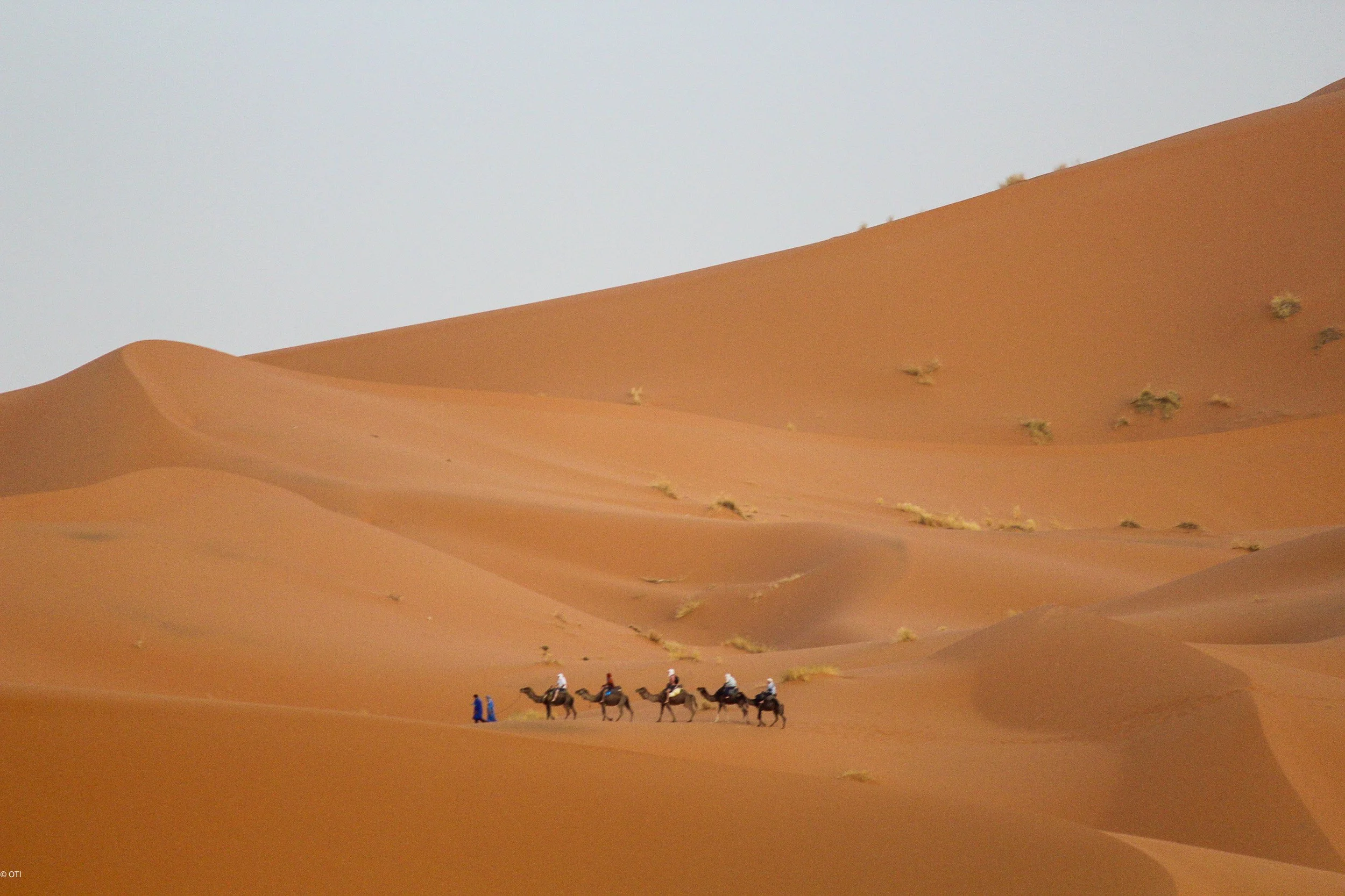 The Sahara near Merzouga, Morocco.