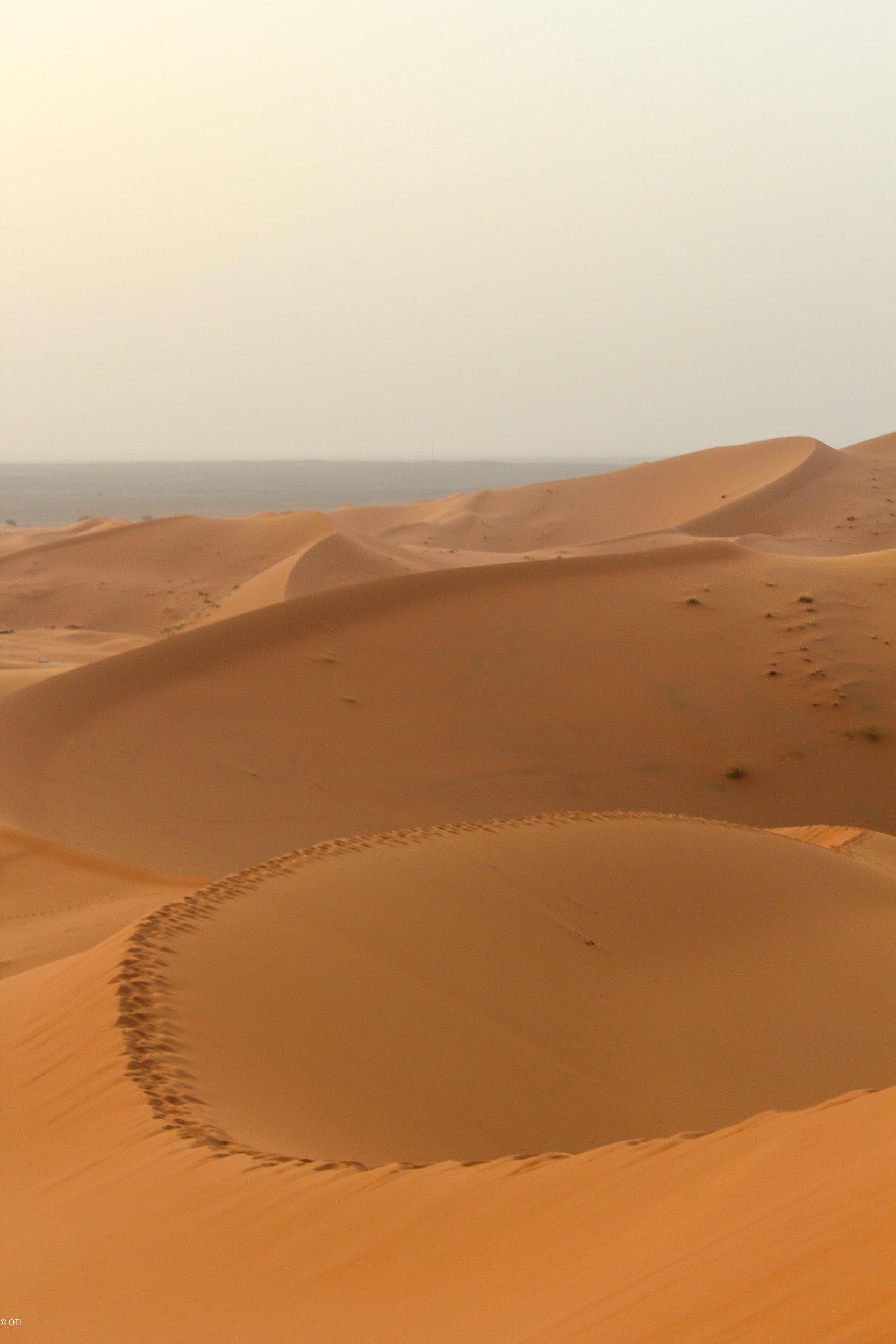 The Sahara near Merzouga, Morocco.