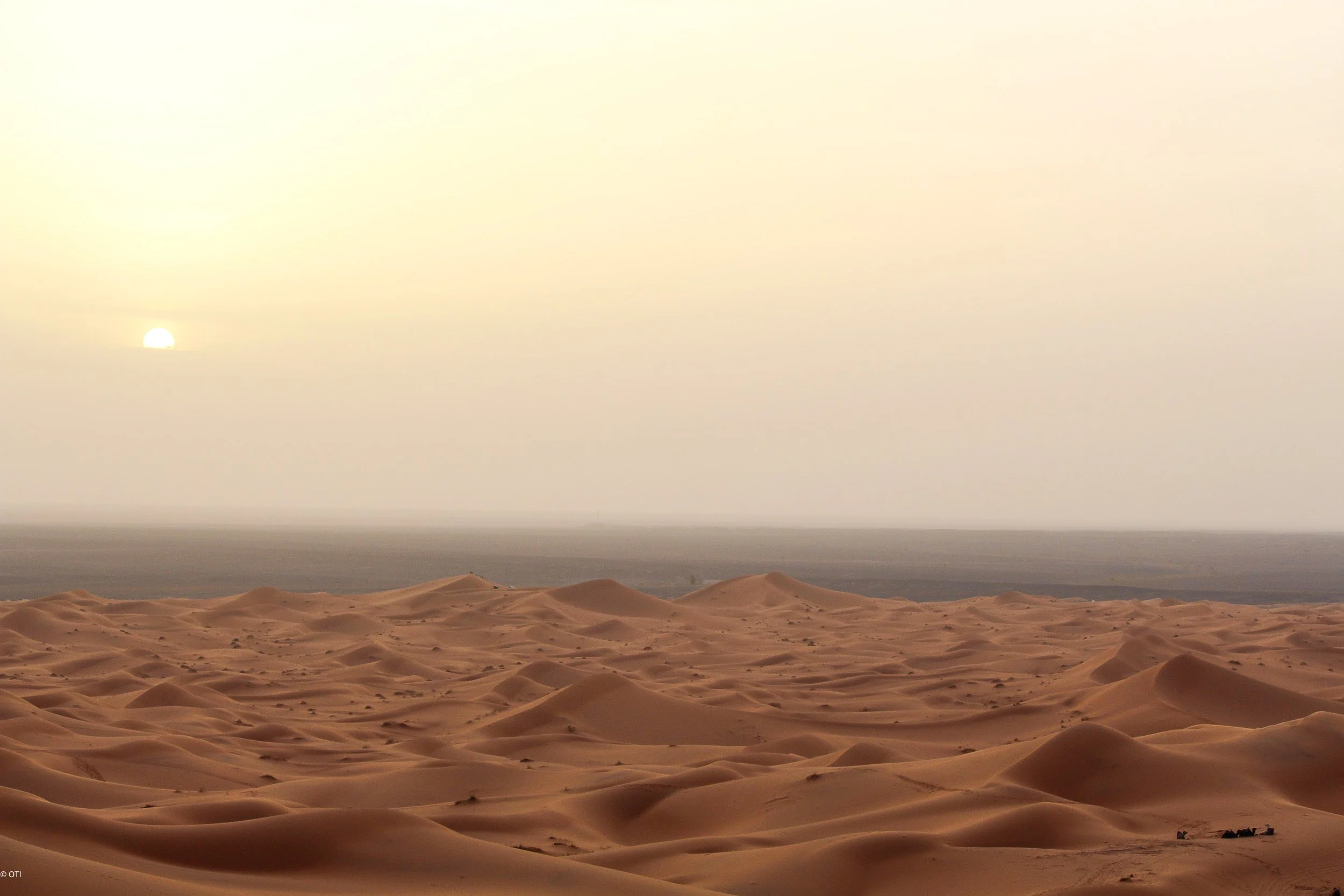 The Sahara near Merzouga, Morocco.