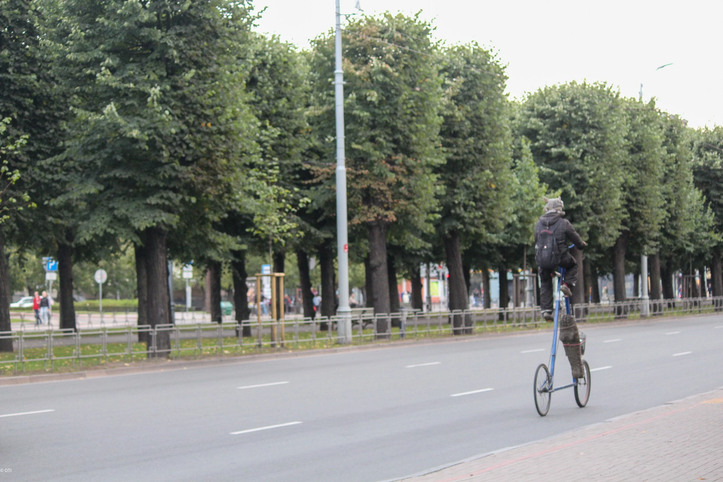 Riga Cyclist