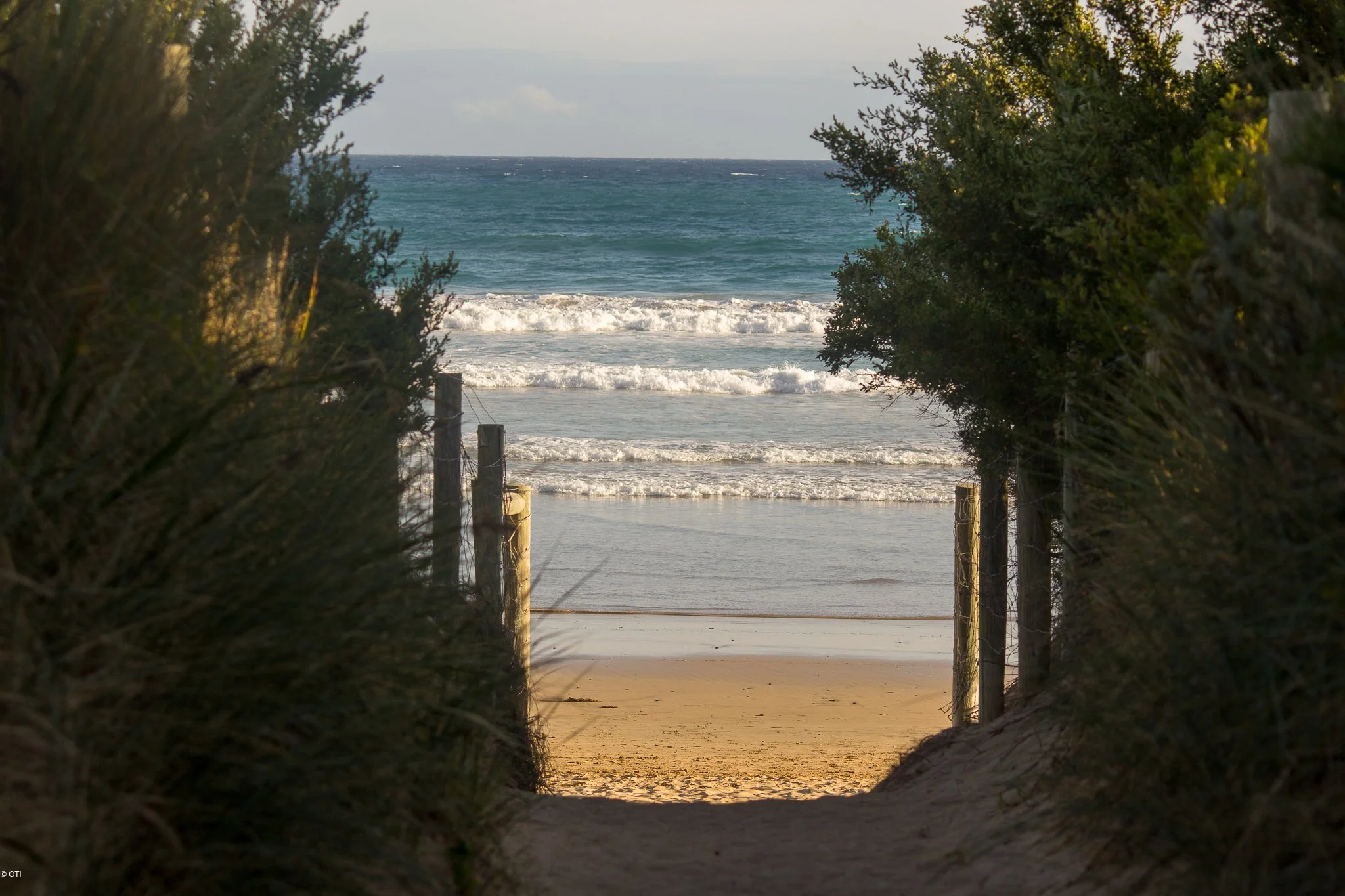 Lorne - Queenscliff Coastal Reserve in Aireys Inlet - Victoria, Australia