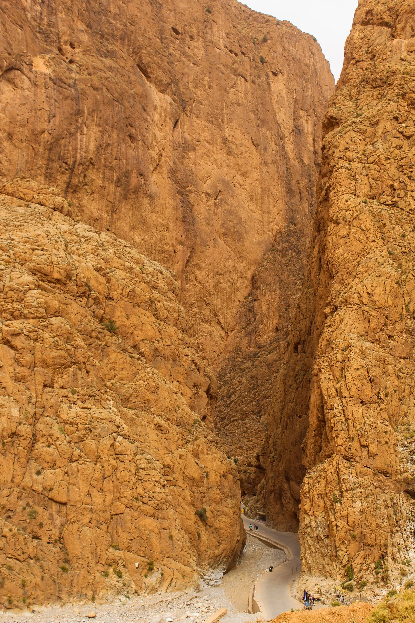 Todgha Gorge in Tinghir, Morocco