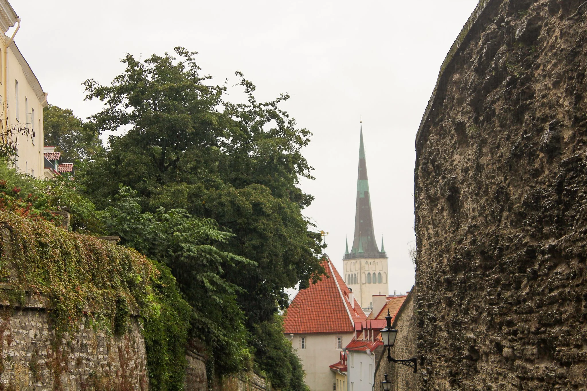 Tallinn Streets