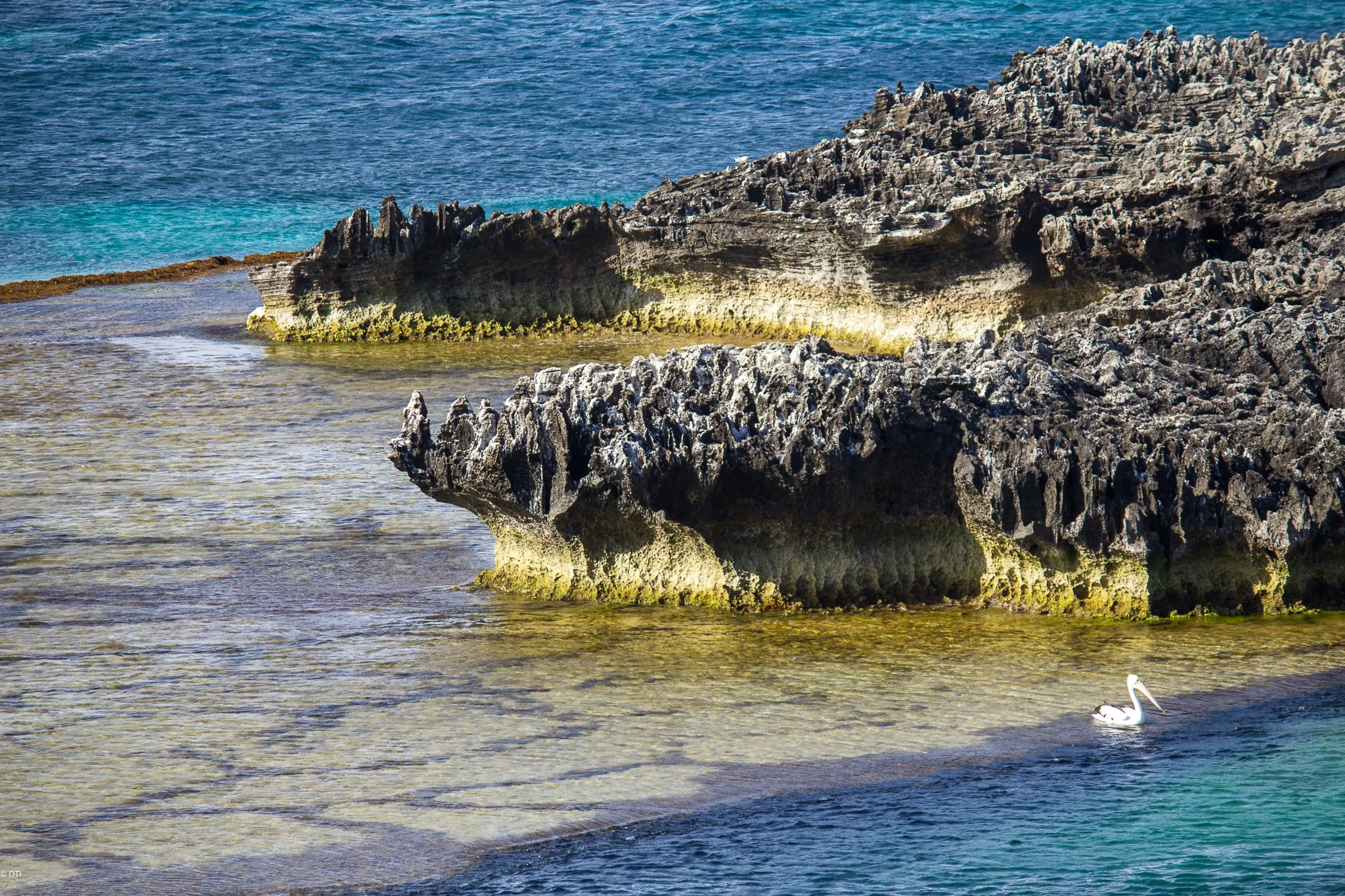 Rottnest Island, Western Australia