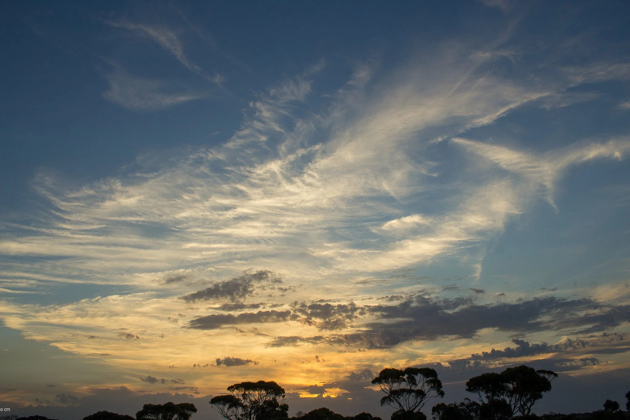 Cocklebiddy, Western Australia