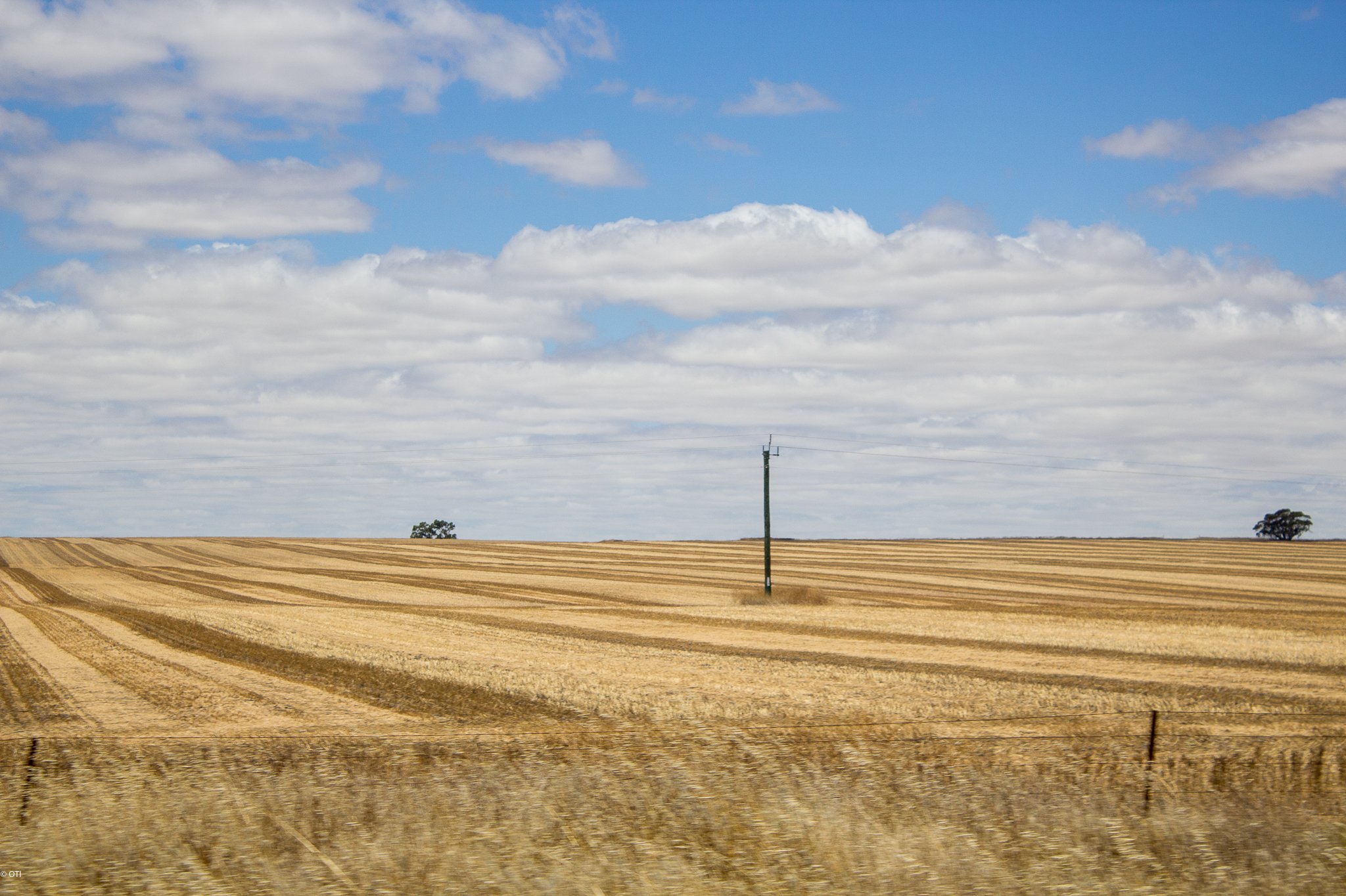 Carnamah, Western Australia