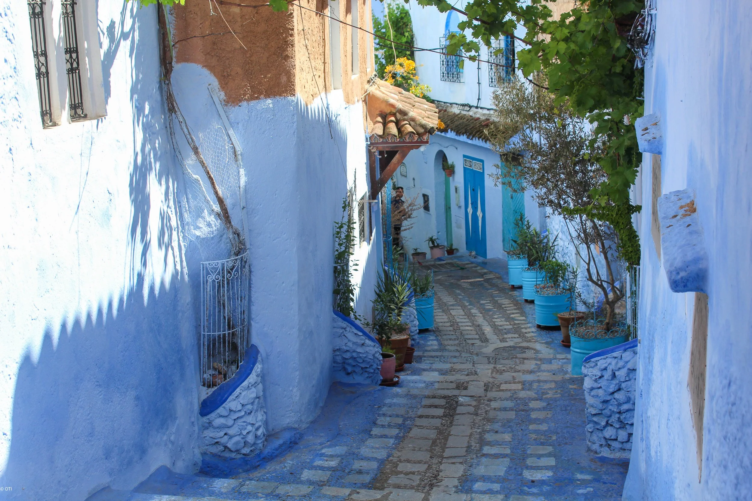 Chefchaouen Streets, Morocco