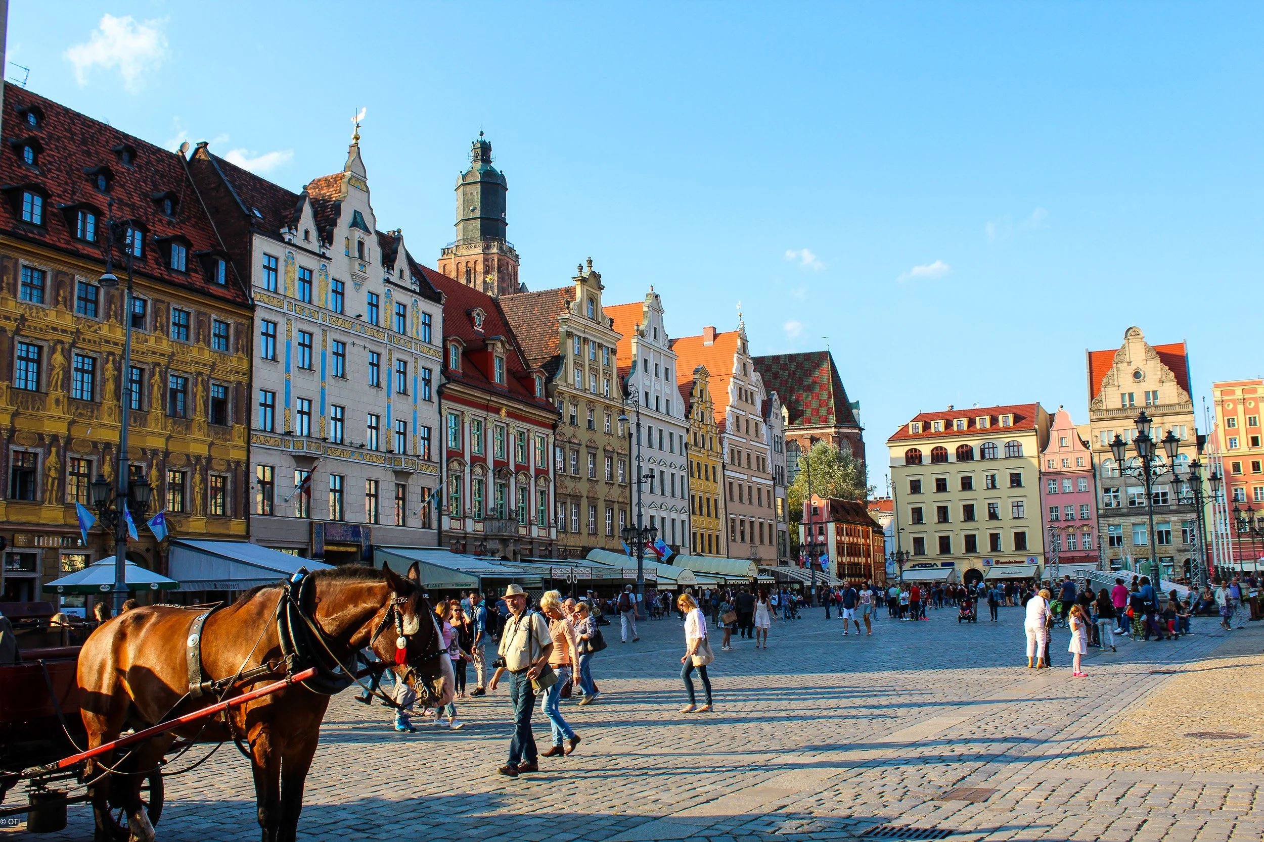 Rynek (Stare Miasto) - Wrocław, Poland