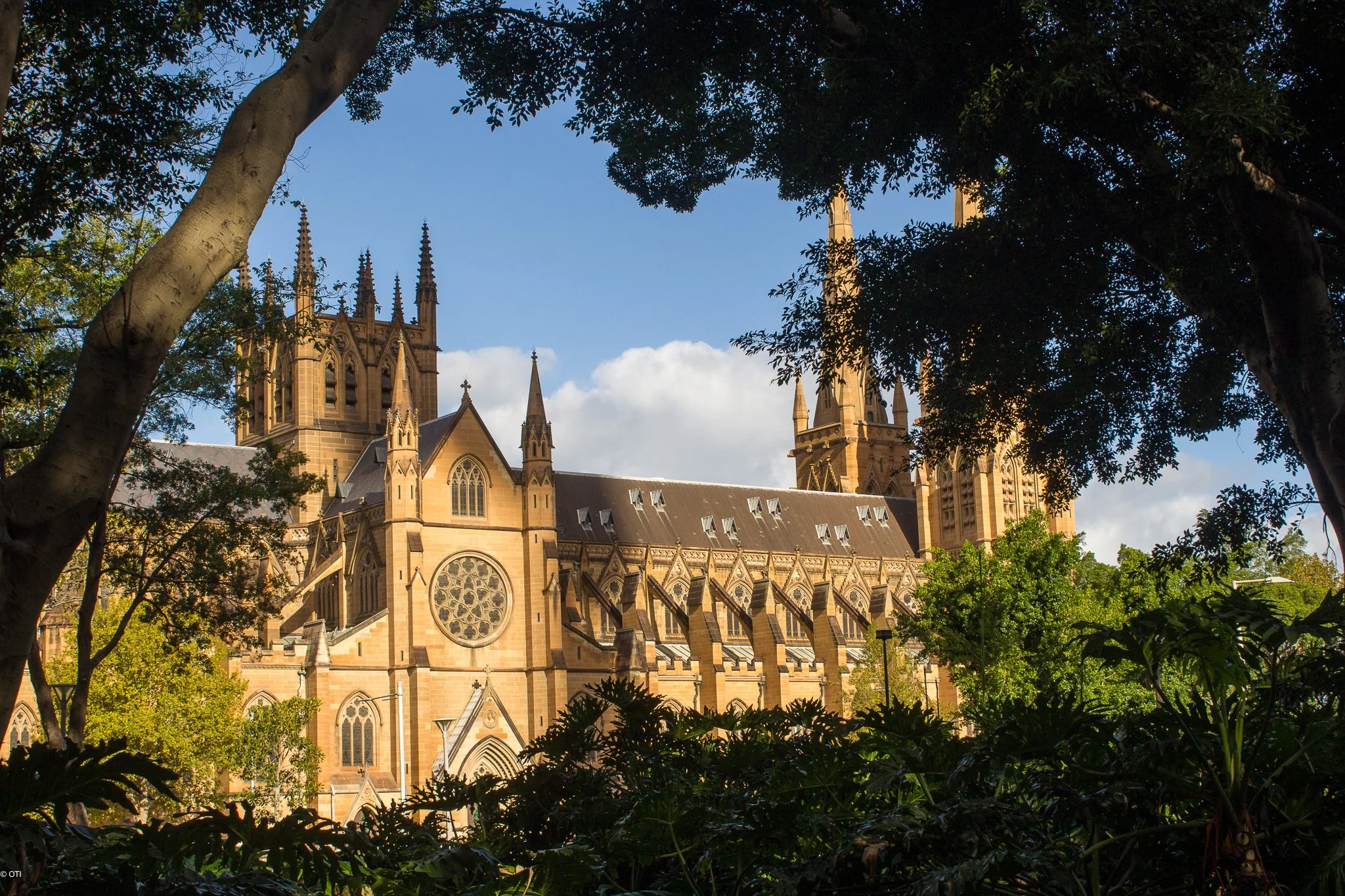 Saint Mary's Cathedral in Sydney - New South Wales, Australia.