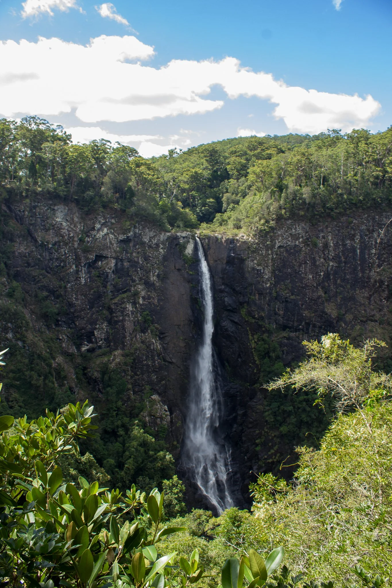 Ellenborough Falls in Elands, New South Wales