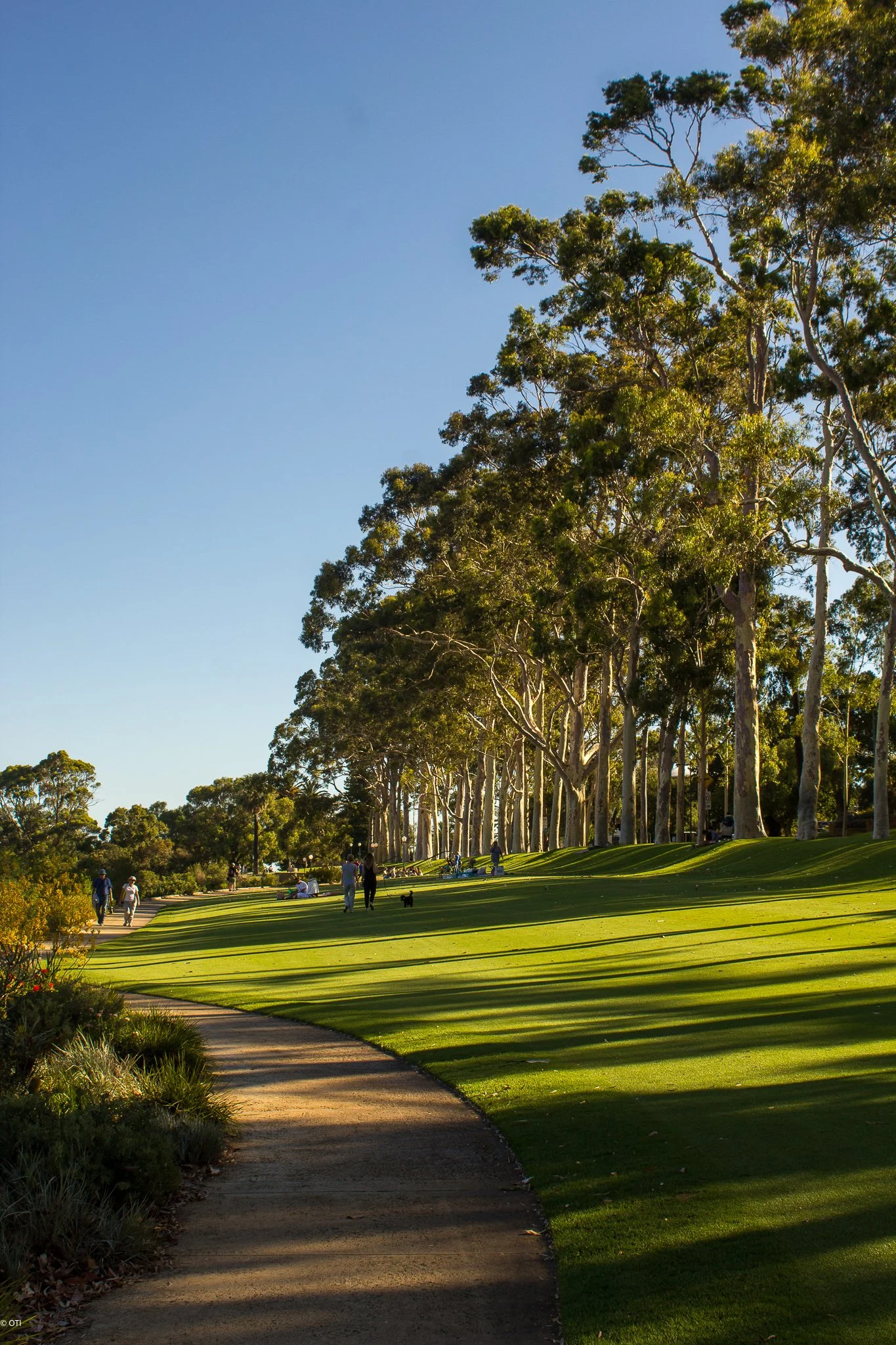 Kings Park and Botanic Garden in Perth, Australia