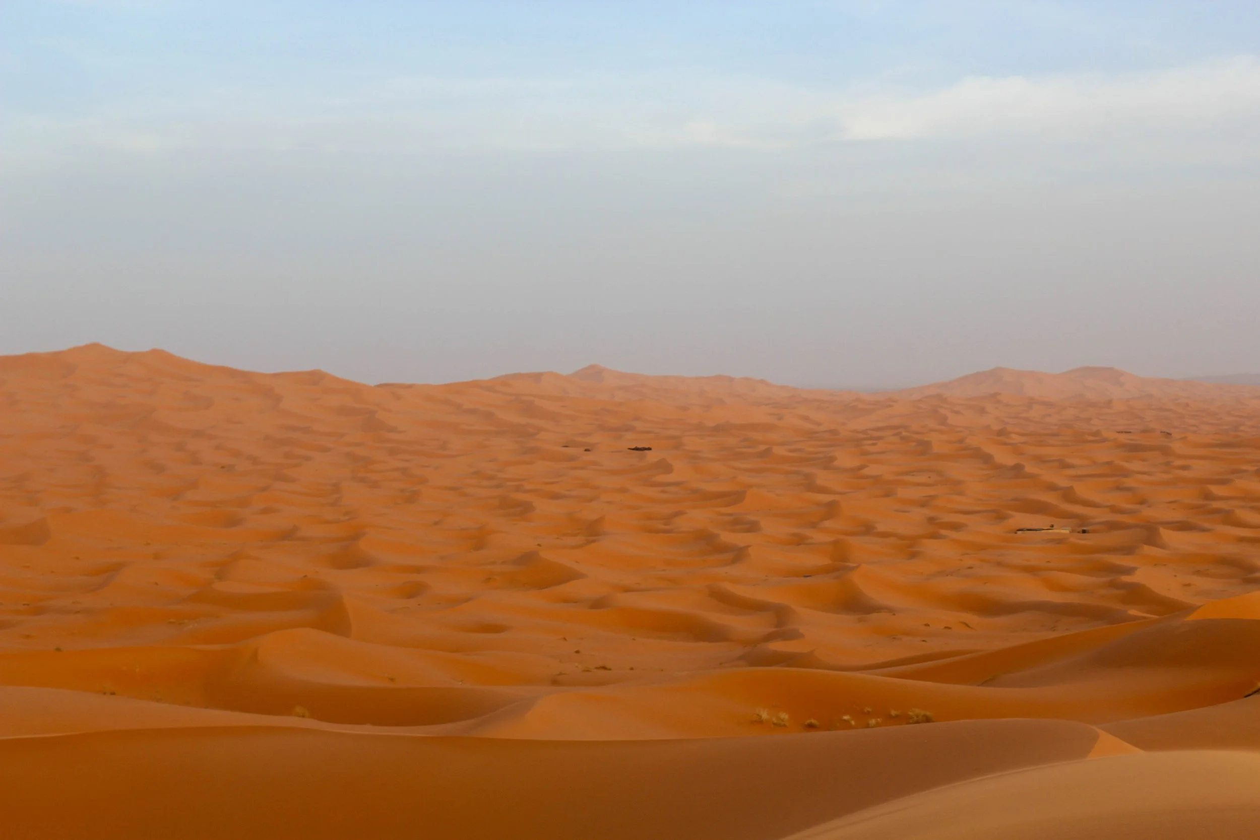 The Sahara Desert