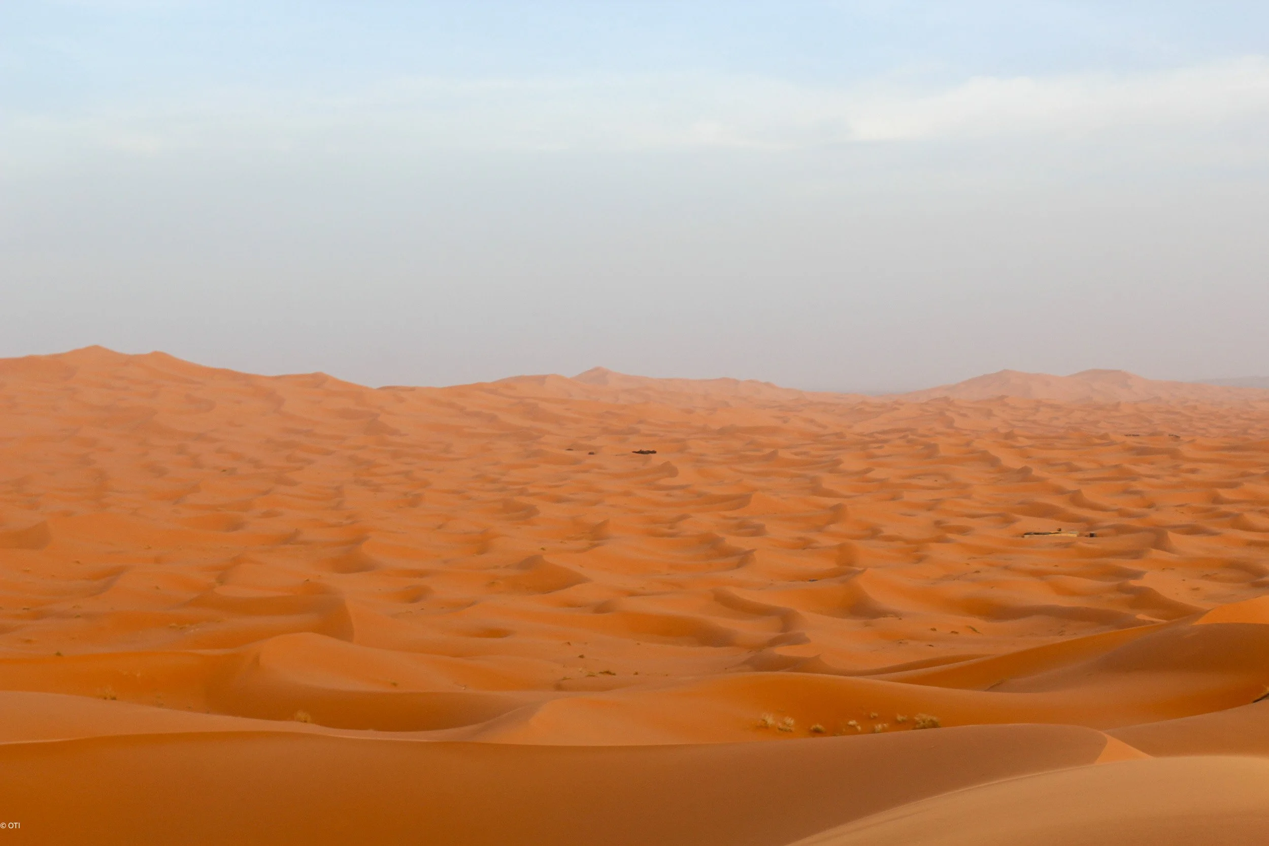 The Sahara near Merzouga, Morocco.