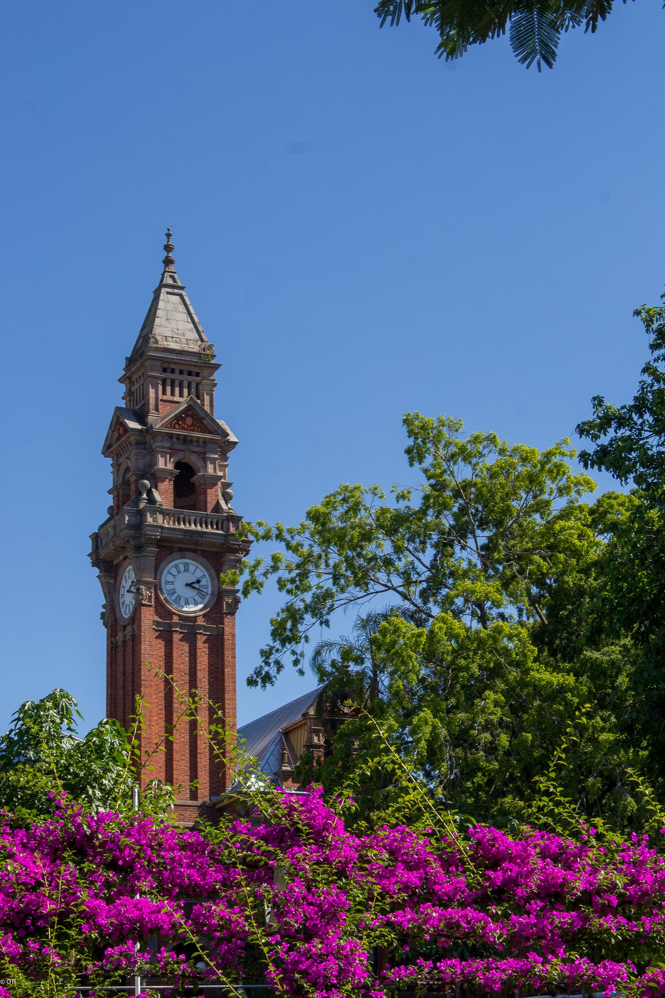 South Brisbane Memorial Park in Brisbane, Queensland - Australia.