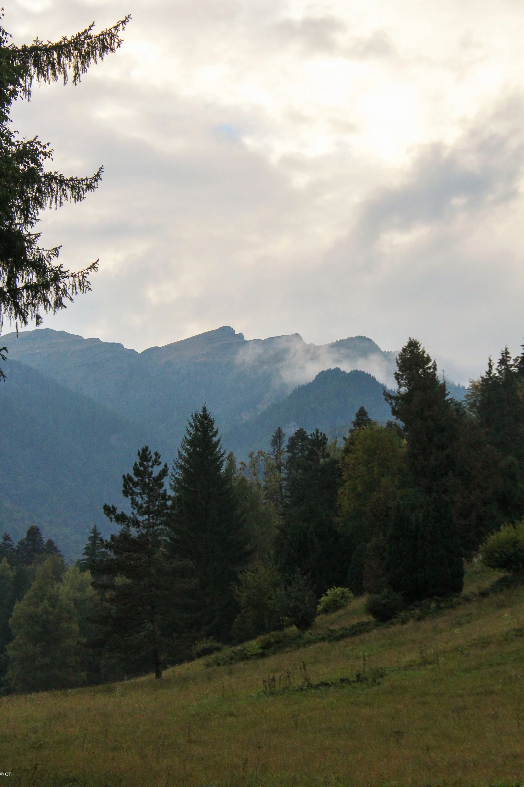Parcul Natural Bucegi near Sinaia, Romania