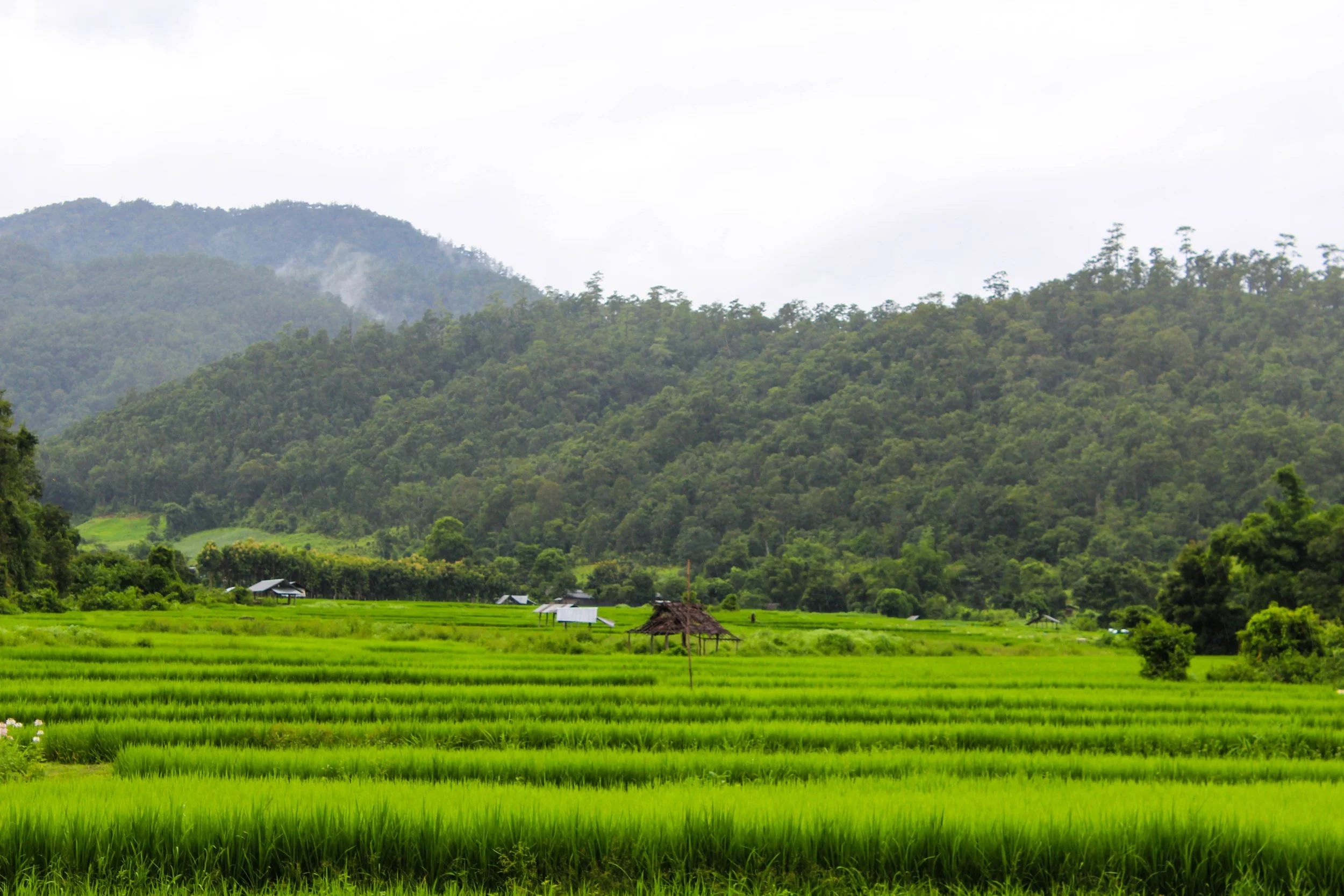Countryside outside of Pai, Thailand