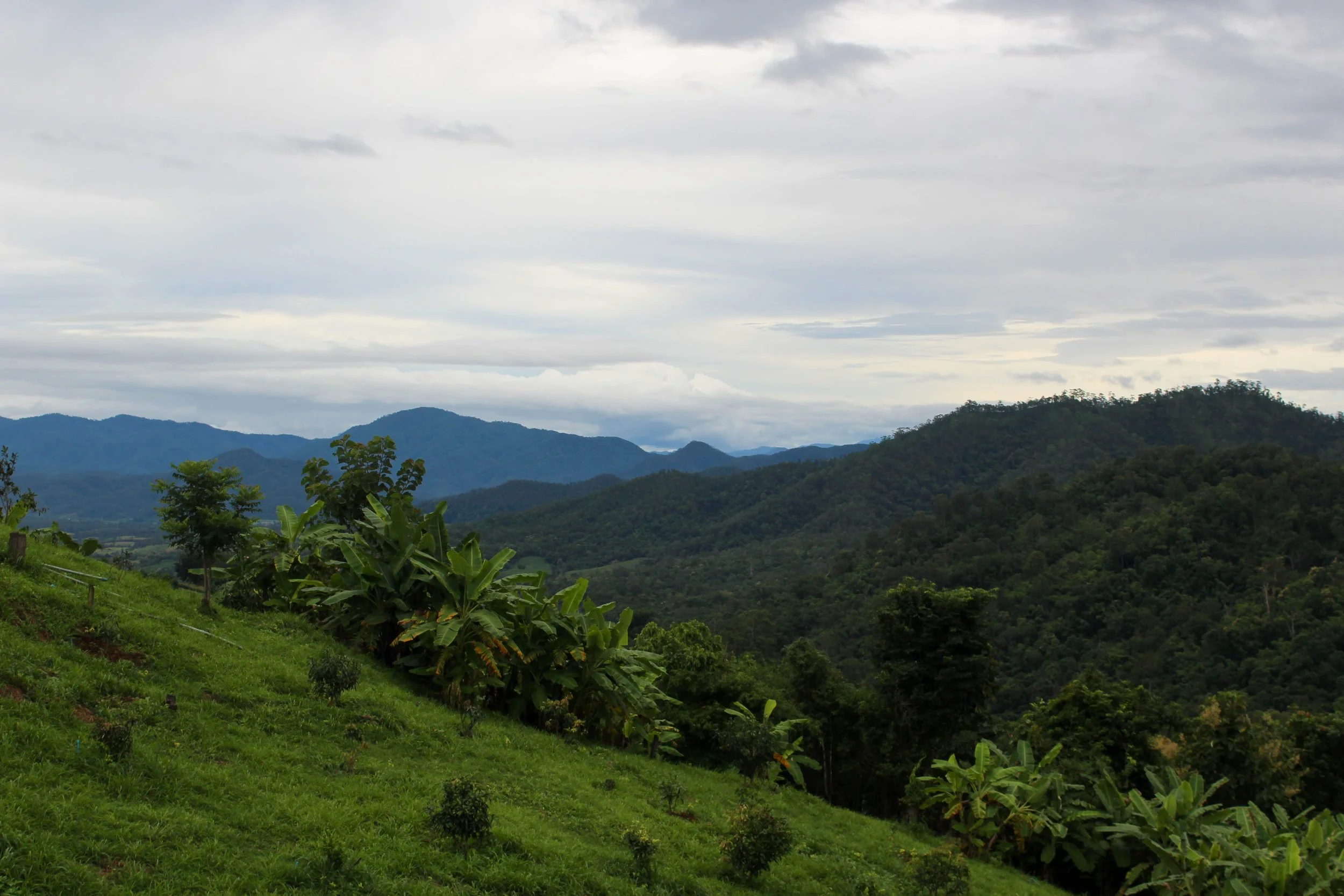 Countryside outside of Pai, Thailand